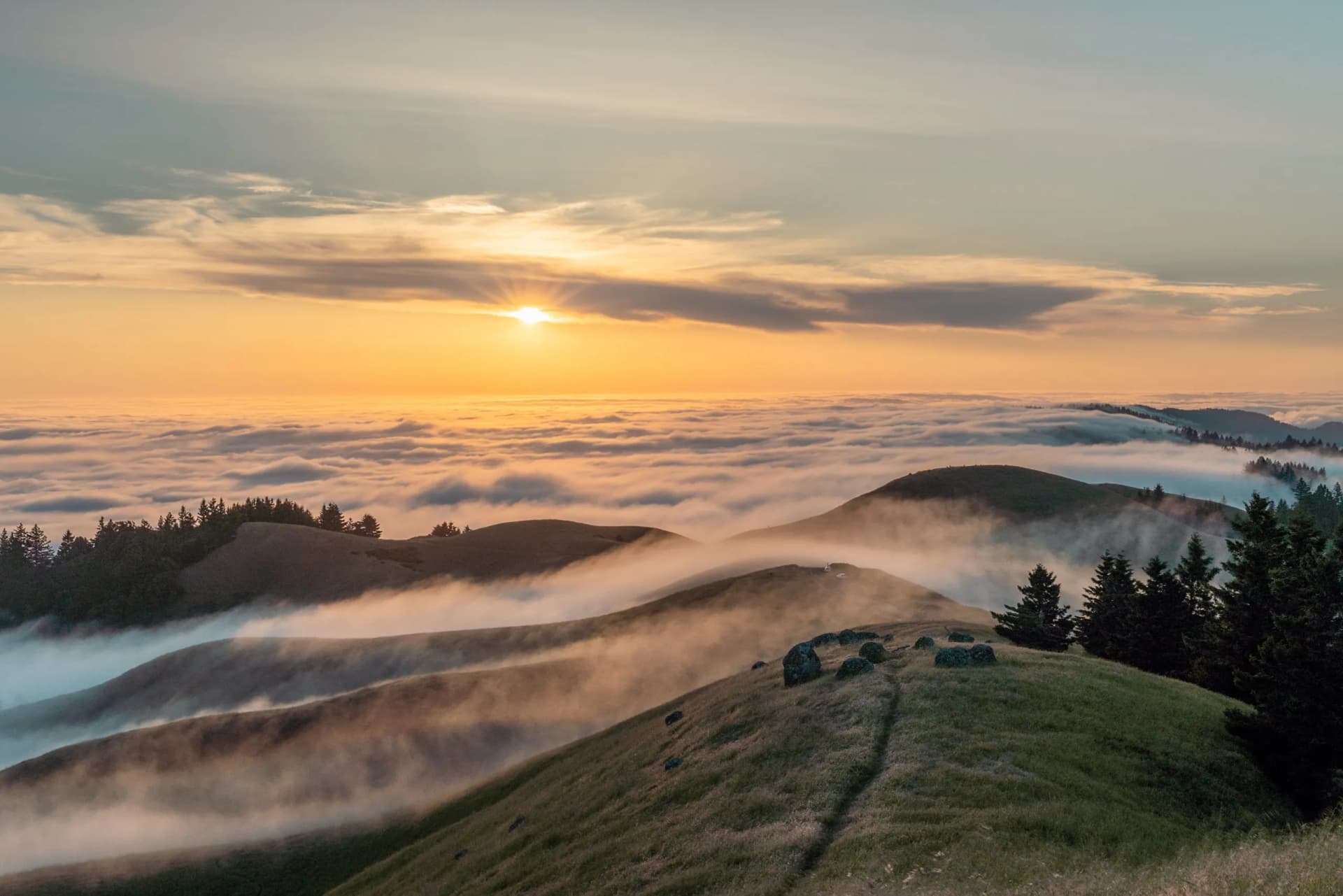 Low Fog in Mount Tamalpais state park at sunset