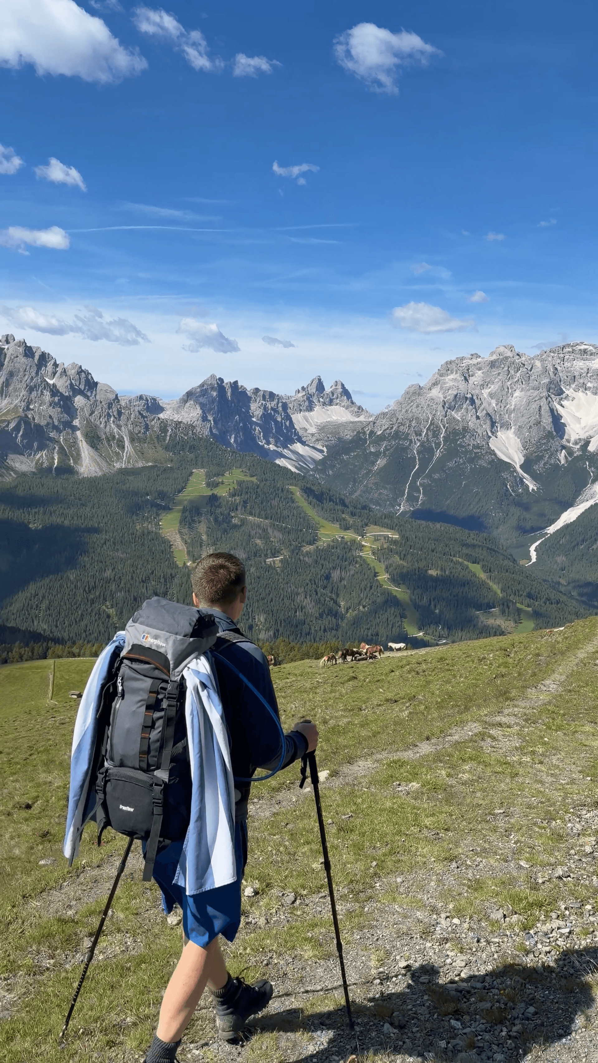 Hiker with backpack and poles walking on alpine mountain trail overlooking valley with horses