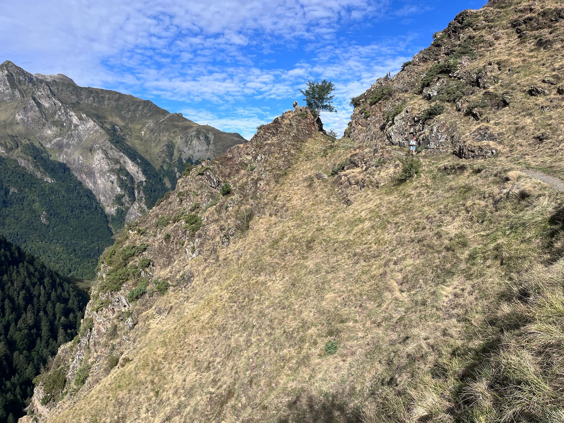 Hiking path along grassy mountain ridge with a lone tree and blue sky