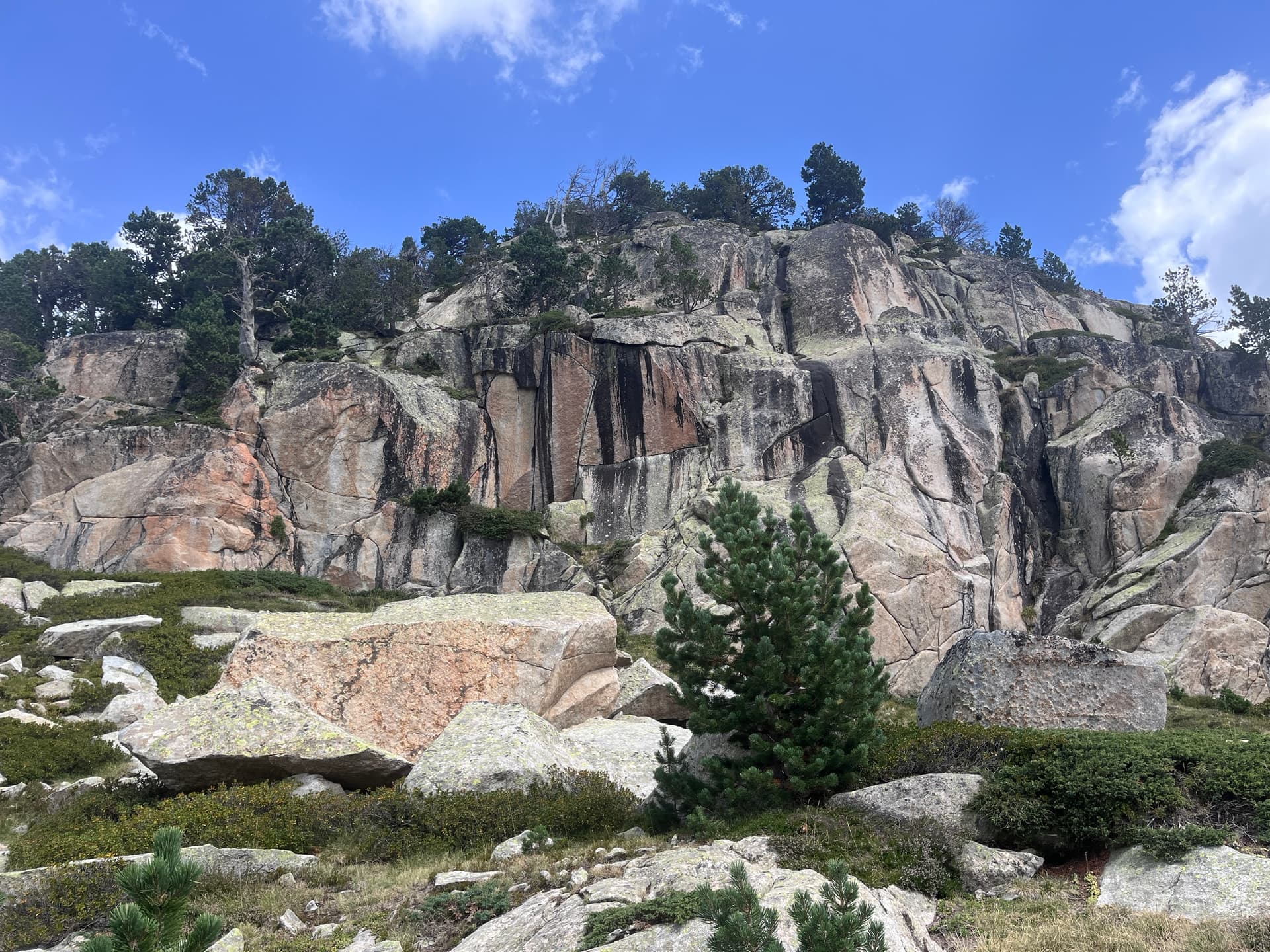 Pink granite cliffs with pine trees under a blue sky