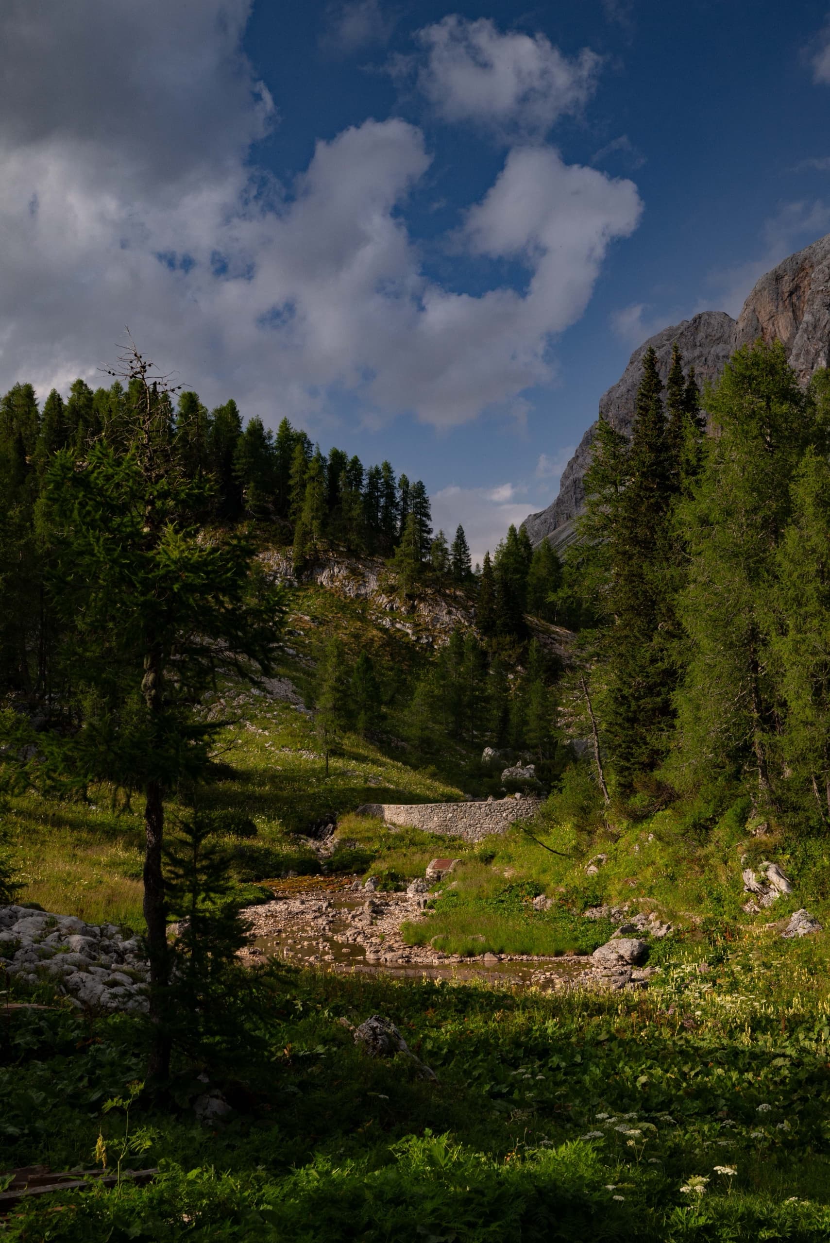Green hollow with stream and pine forest below limestone cliffs