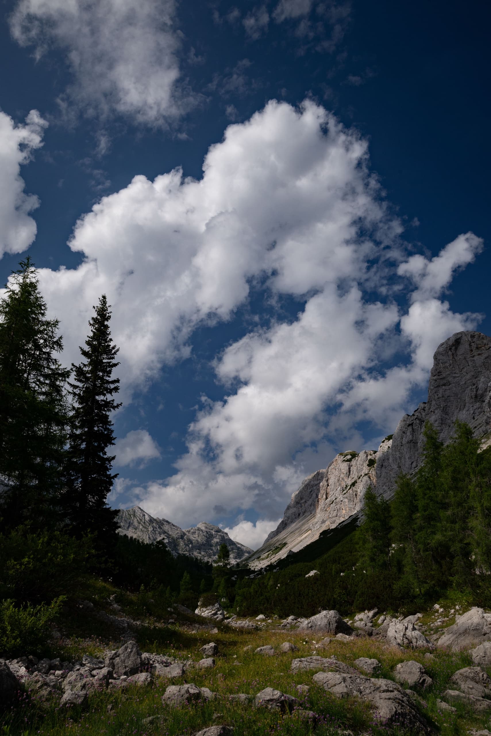 Large white clouds over a rocky alpine valley with pine trees and green slopes
