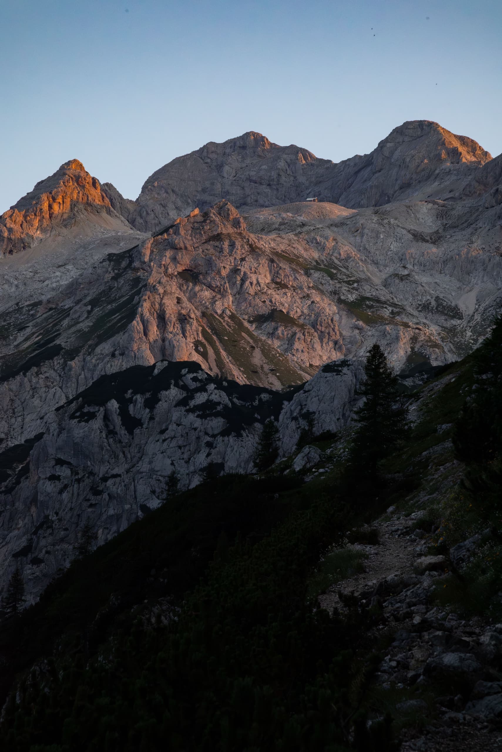 Rugged limestone mountain peaks illuminated by last light with pine trees in foreground
