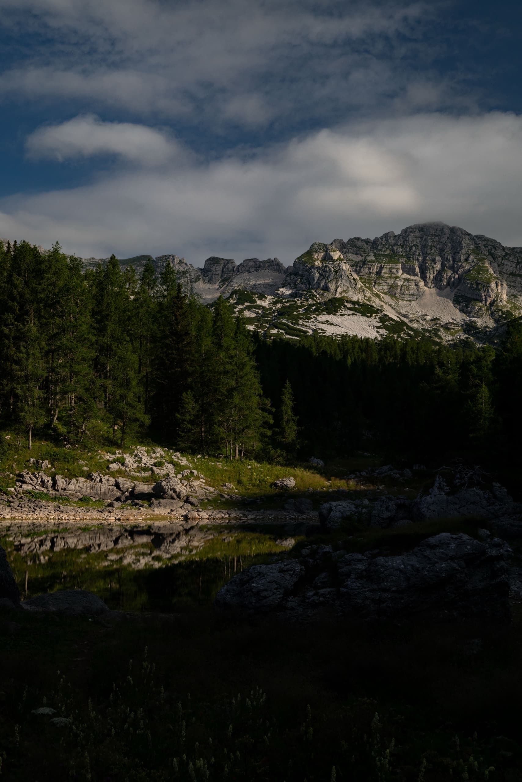 Mountain lake below limestone ridges with pine forest and rocky shoreline