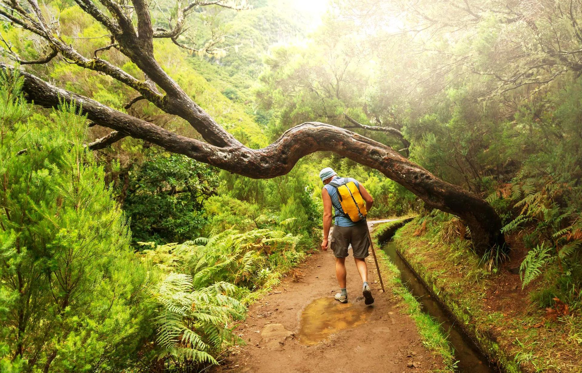 Highlights of Madeira