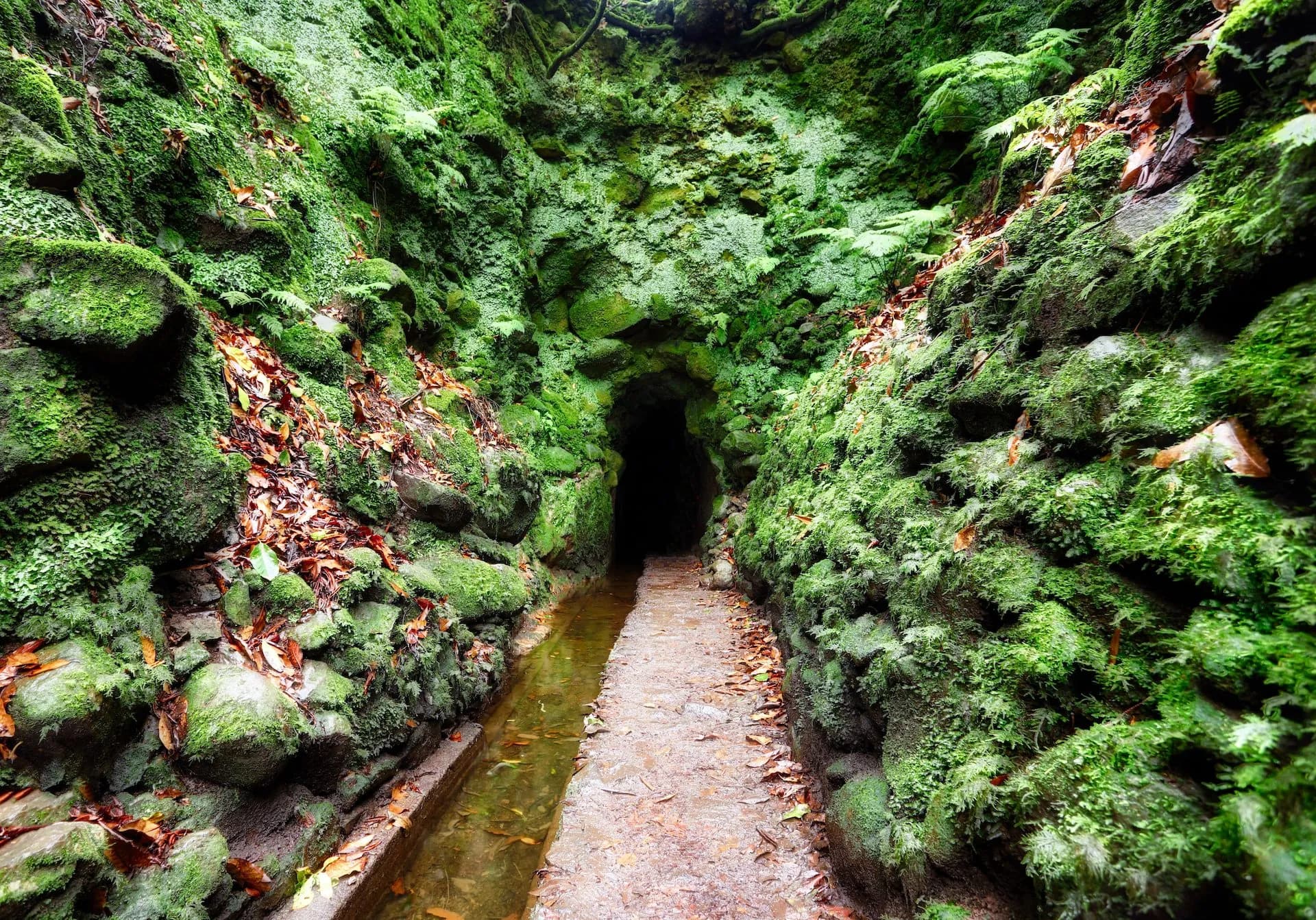 Levada tunnel entrance in Madeira with mossy walls, water channel, and path.