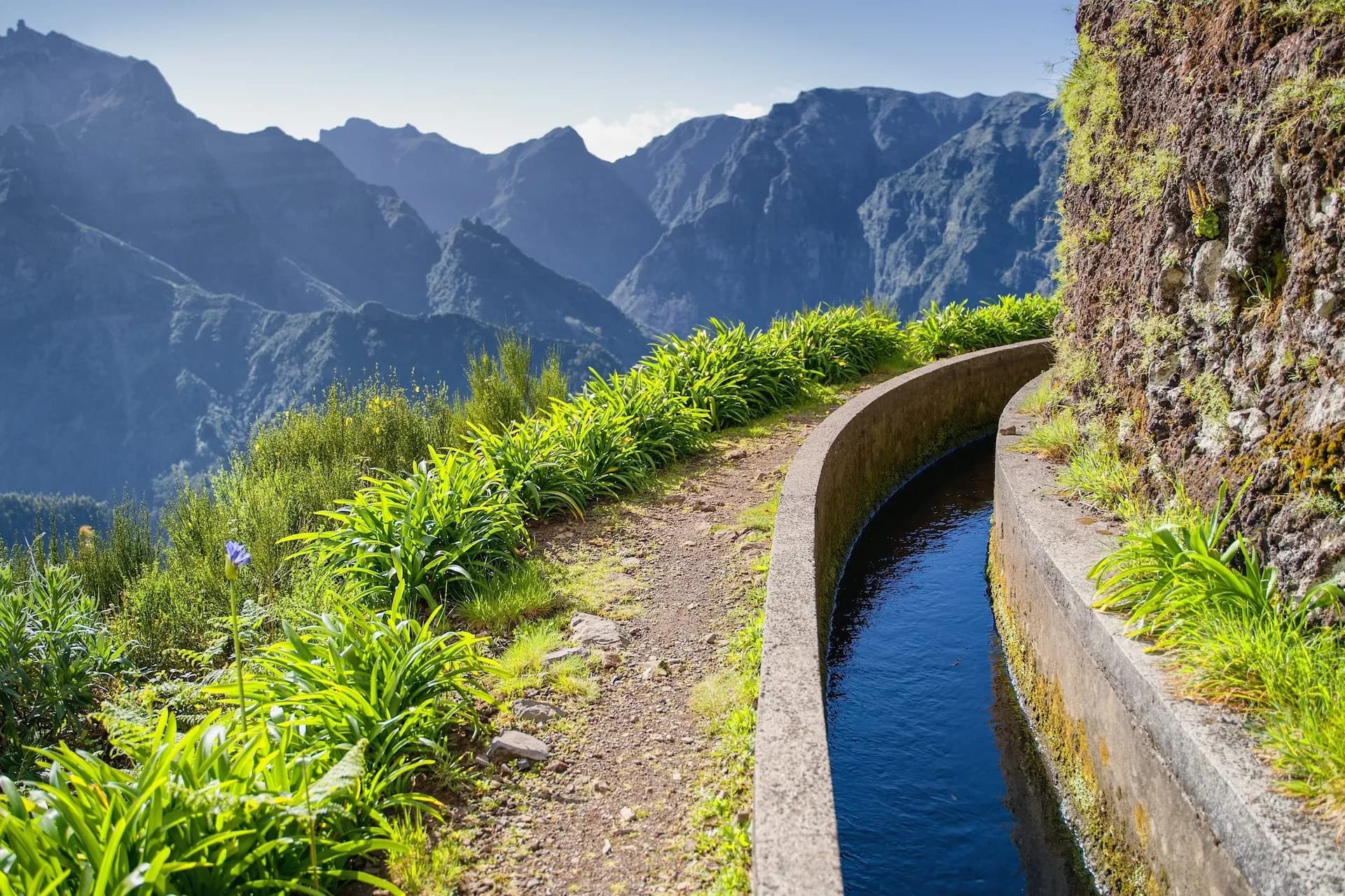 Levada do Norte hiking path alongside a water channel with lush greenery and mountains.