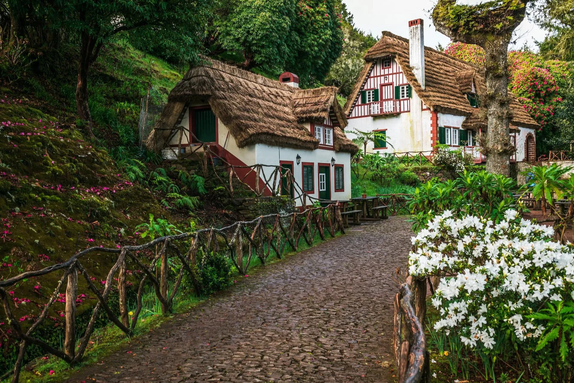 Traditional thatched-roof houses along a cobblestone path in Queimadas Forest Park.
