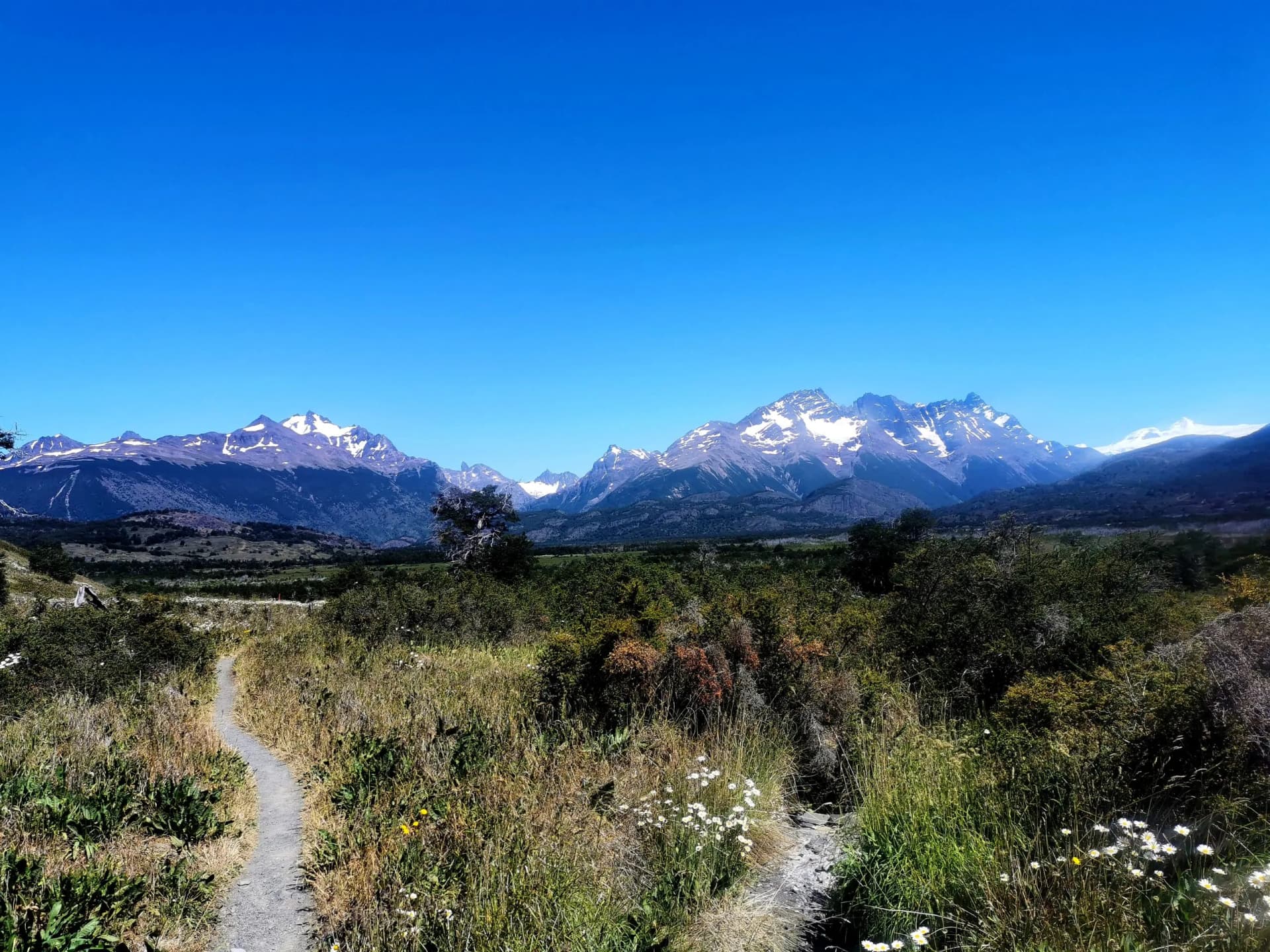 Hiking trail through scrubland toward snow-capped mountains under a clear blue sky.