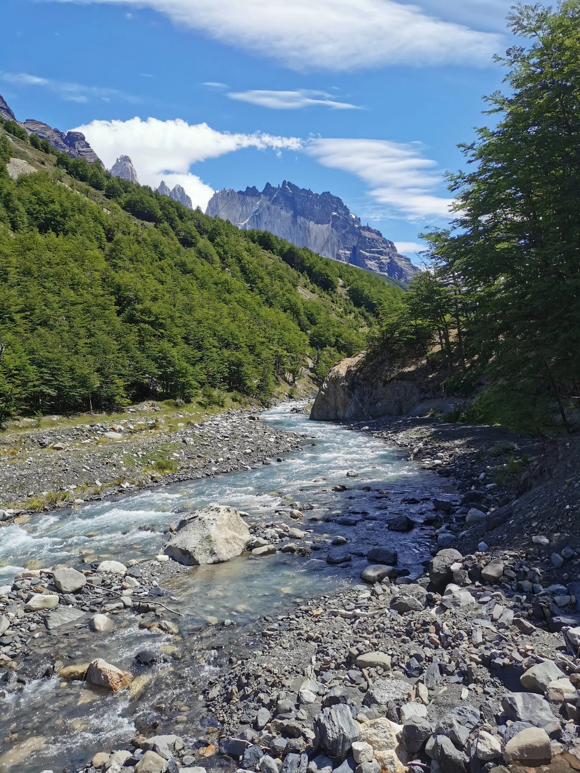 Rushing river over rocks through a valley with green forest and jagged mountain peaks under blue sky.