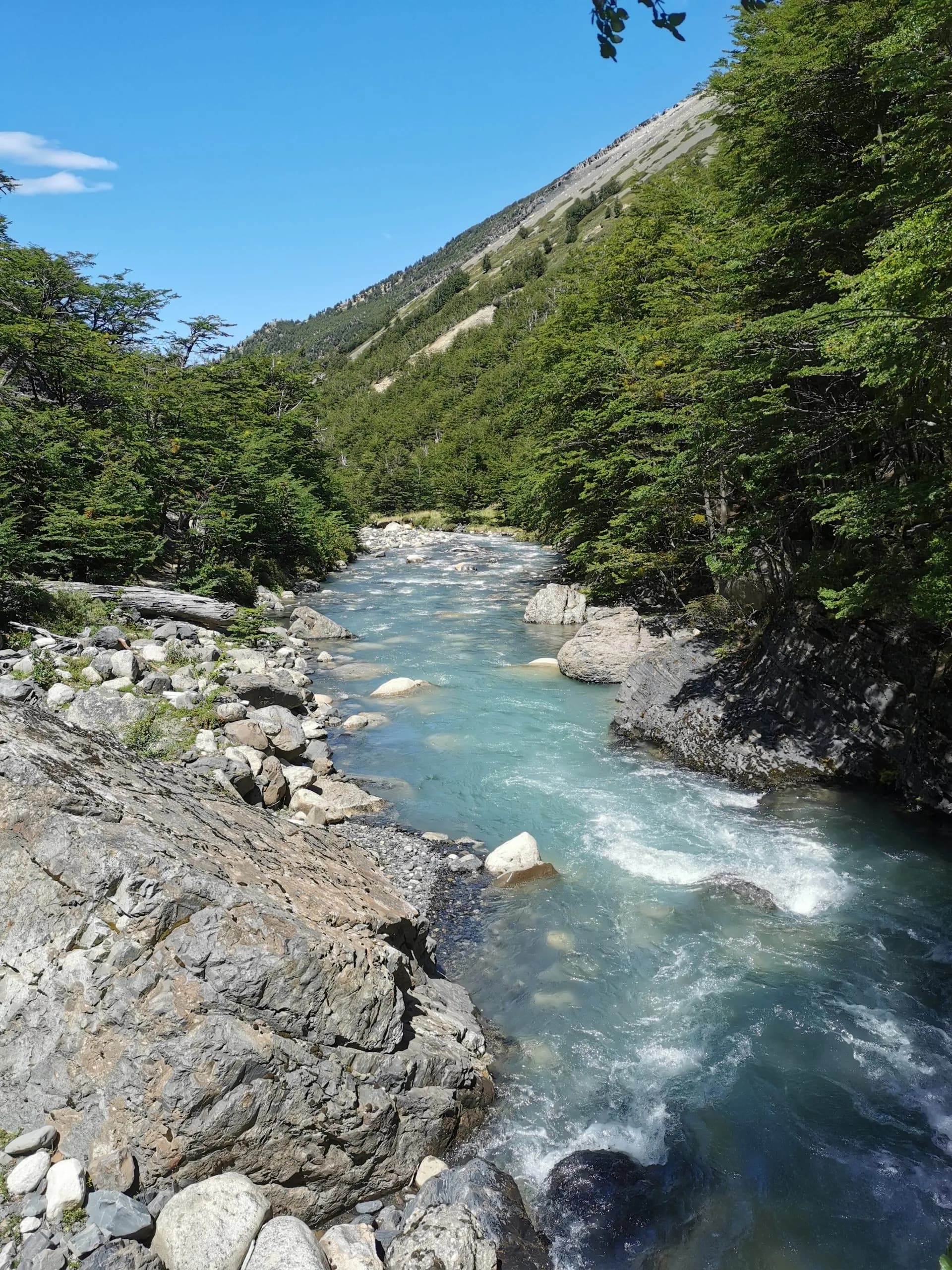 Rushing turquoise river flowing between rocky banks and dense green forest under a bright blue sky.