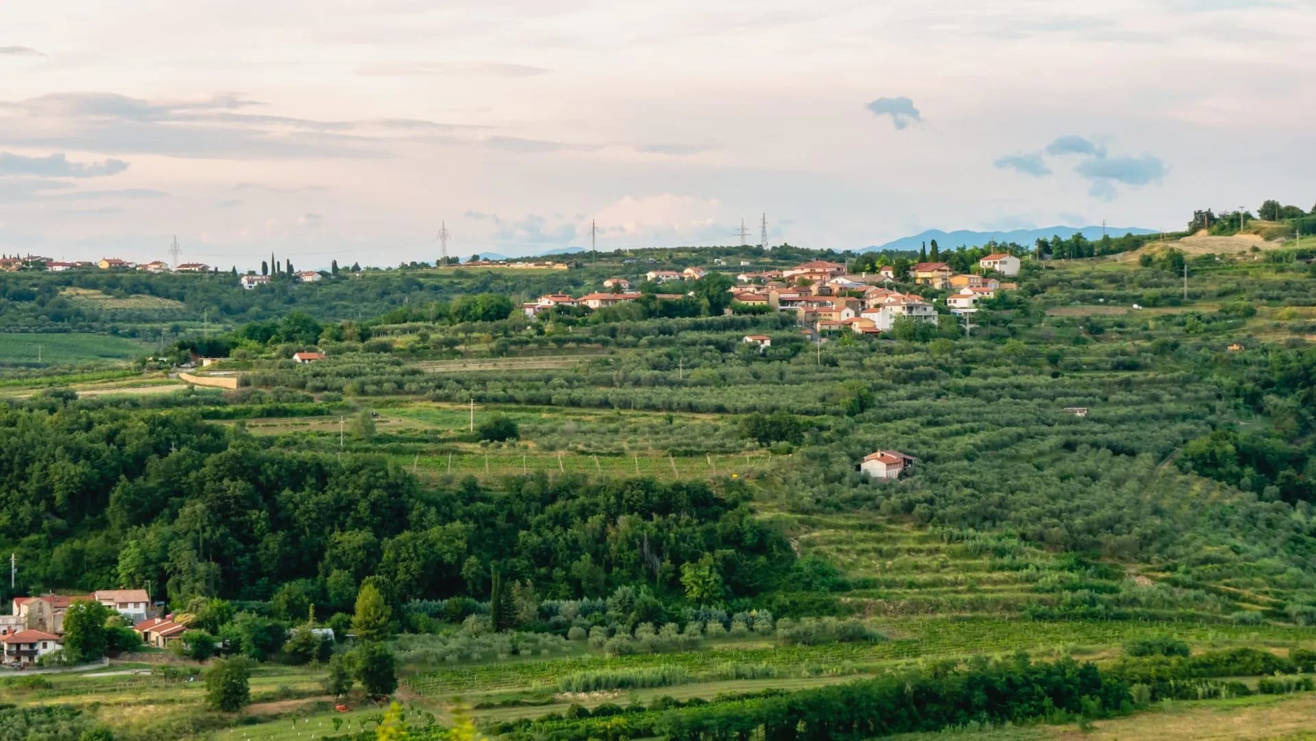 Hilly Istrian landscape with terraced olive groves and a small village under a cloudy sky.