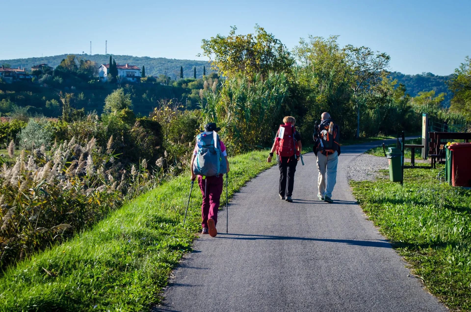 Hikers with backpacks walking on paved path past tall reeds near a green, hilly landscape.