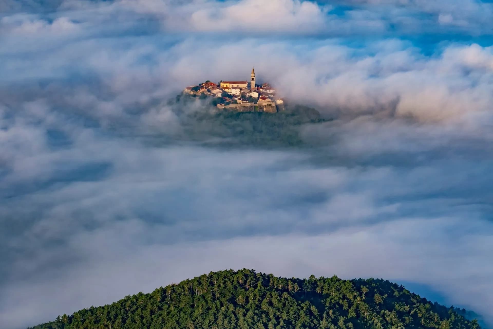 Hilltop town of Buzet rising above a sea of low-lying fog with a forested hill below.