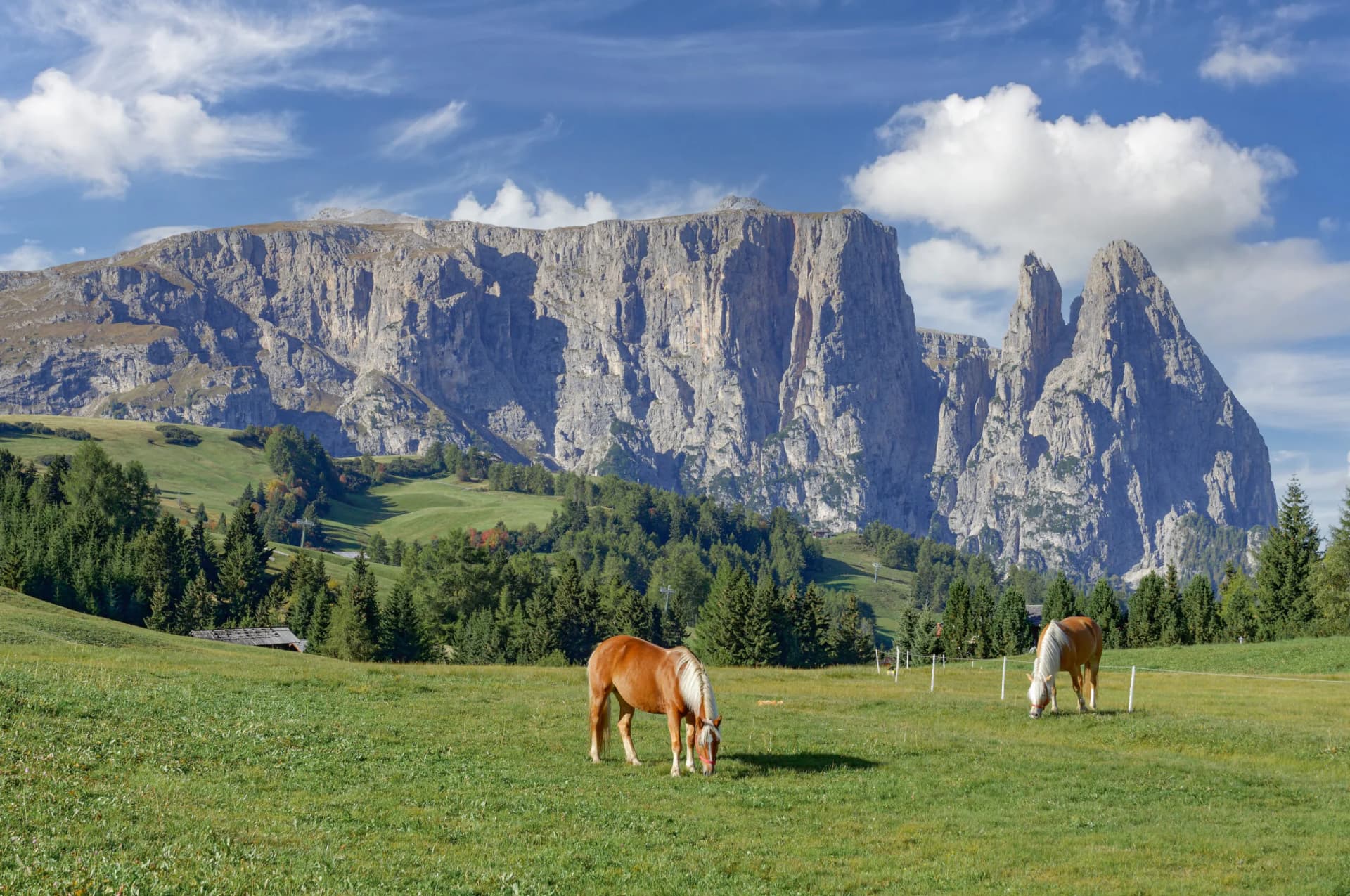 Horses grazing on a verdant pasture with massive rocky mountains under a blue sky.