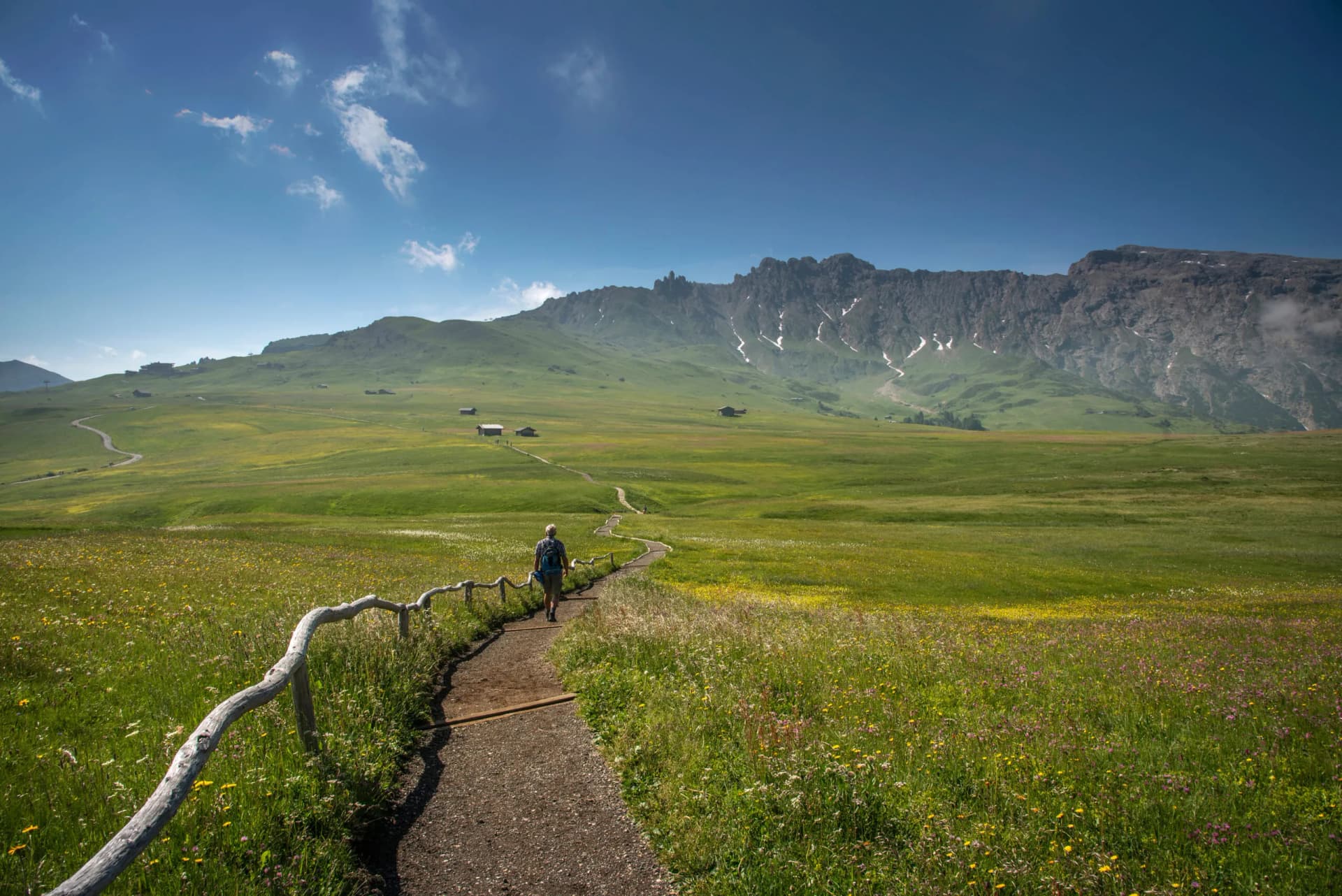 Hiker on path through flowery meadow toward dramatic rocky mountains on Seiser Alm.