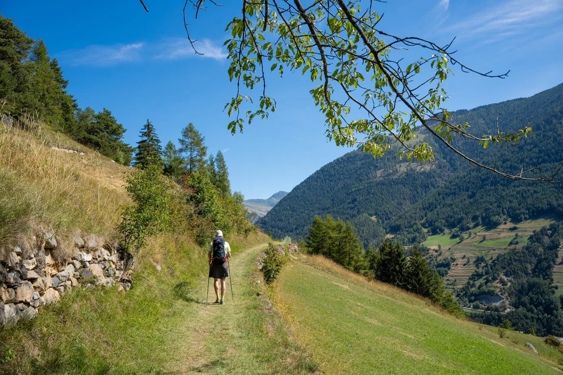 Hiker with backpack and poles on trail through Swiss countryside with green mountains.
