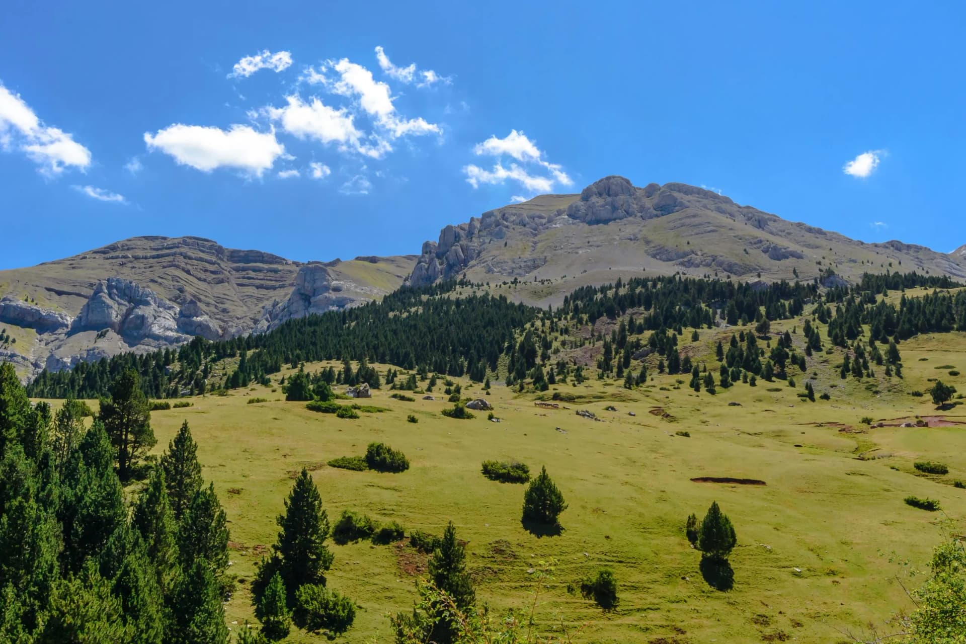 The magnific Cadí Mountains (Prat d'Aguiló, Cerdanya, Catalonia)