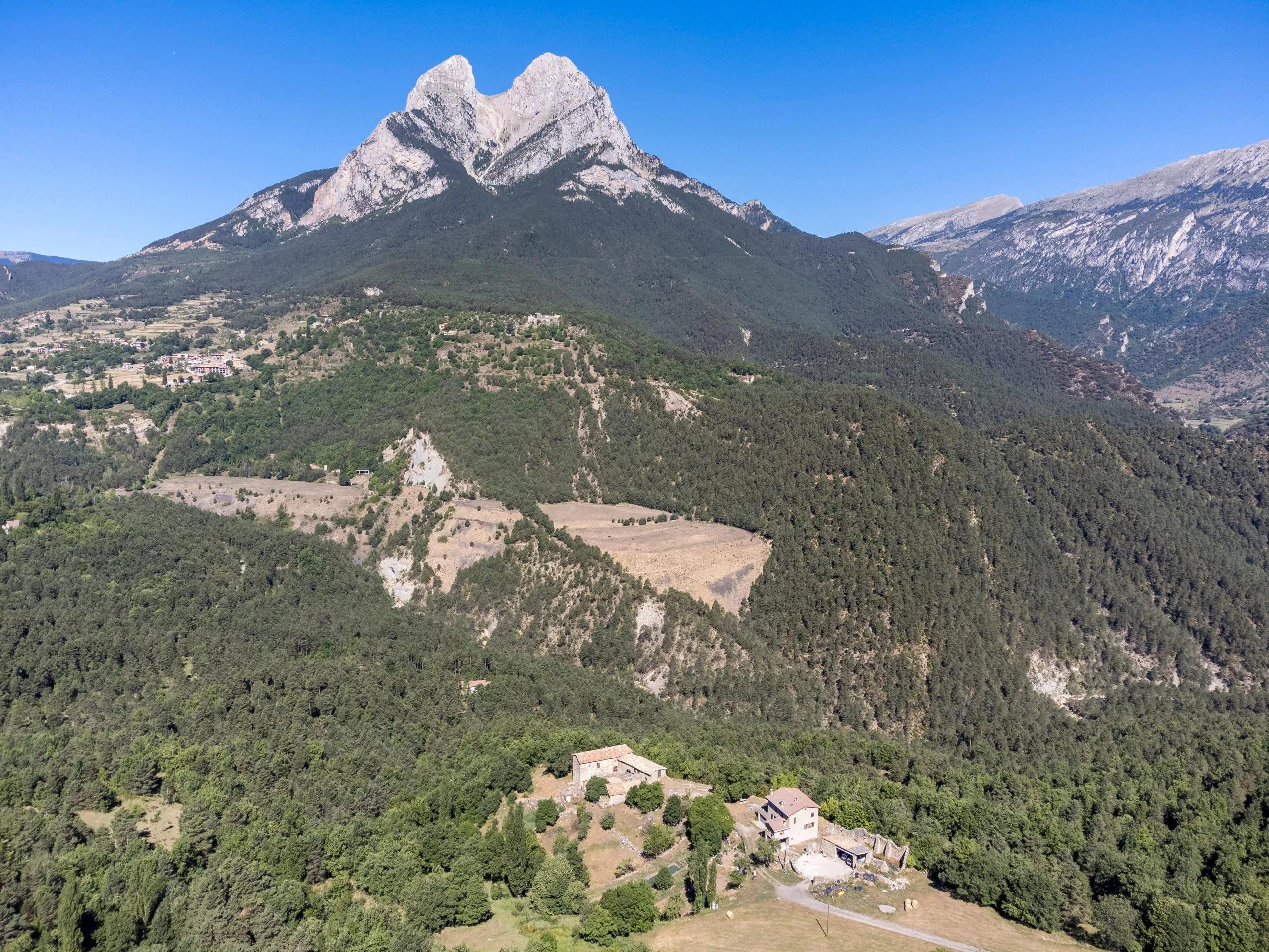 Day 6 image
