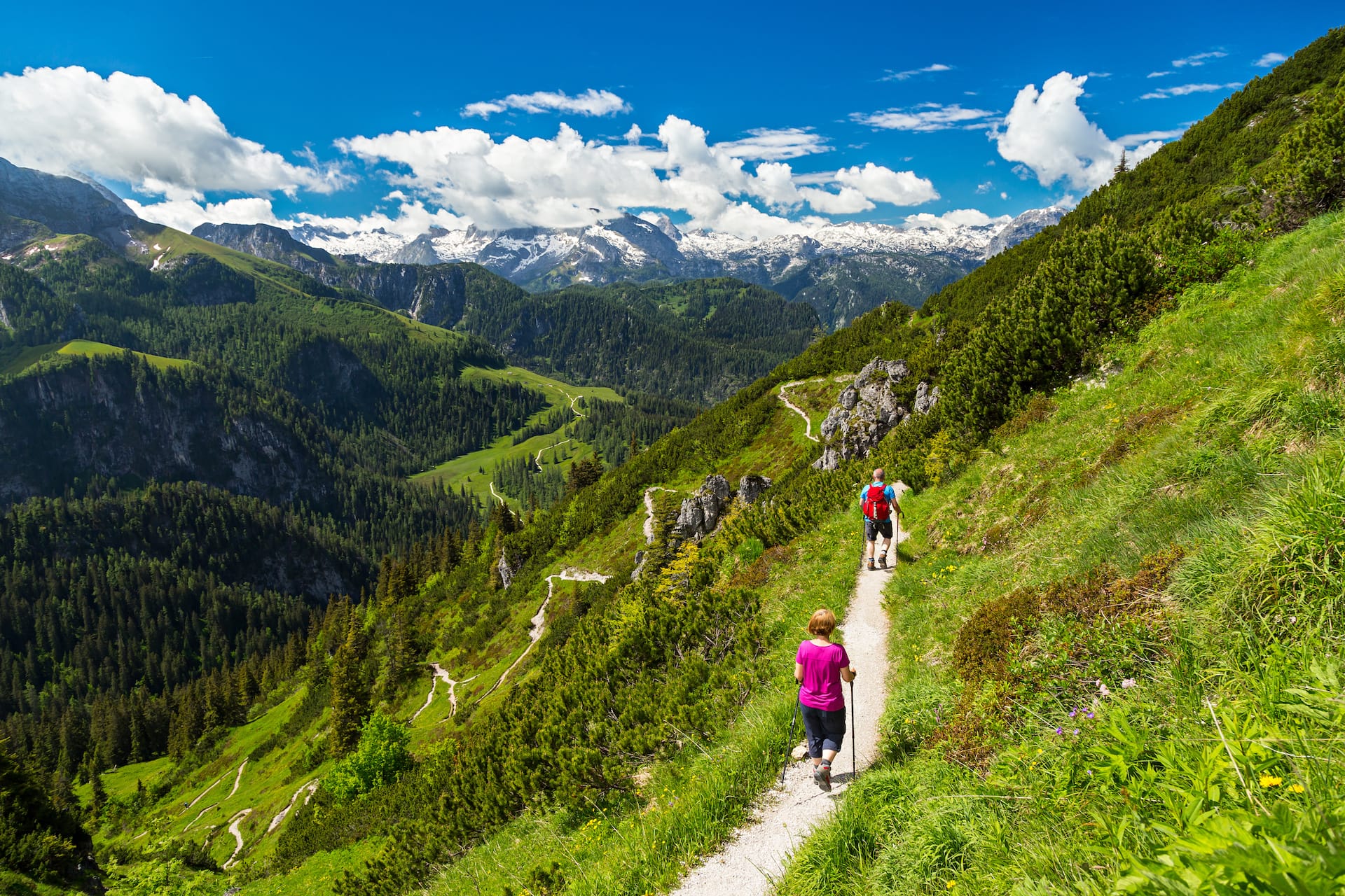 Hikers on sunny mountain trail overlooking lush green valleys and snow-capped peaks