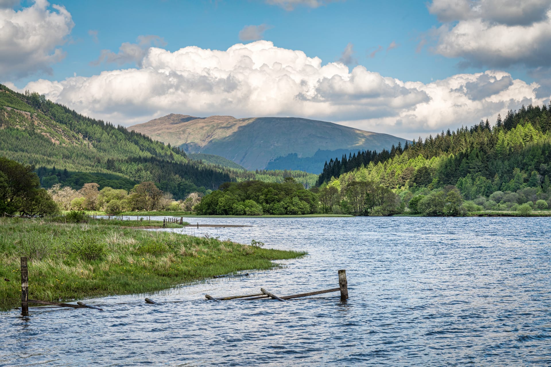 Loch or lake with grassy shore, forested hills, and mountain under bright clouds in Scotland.