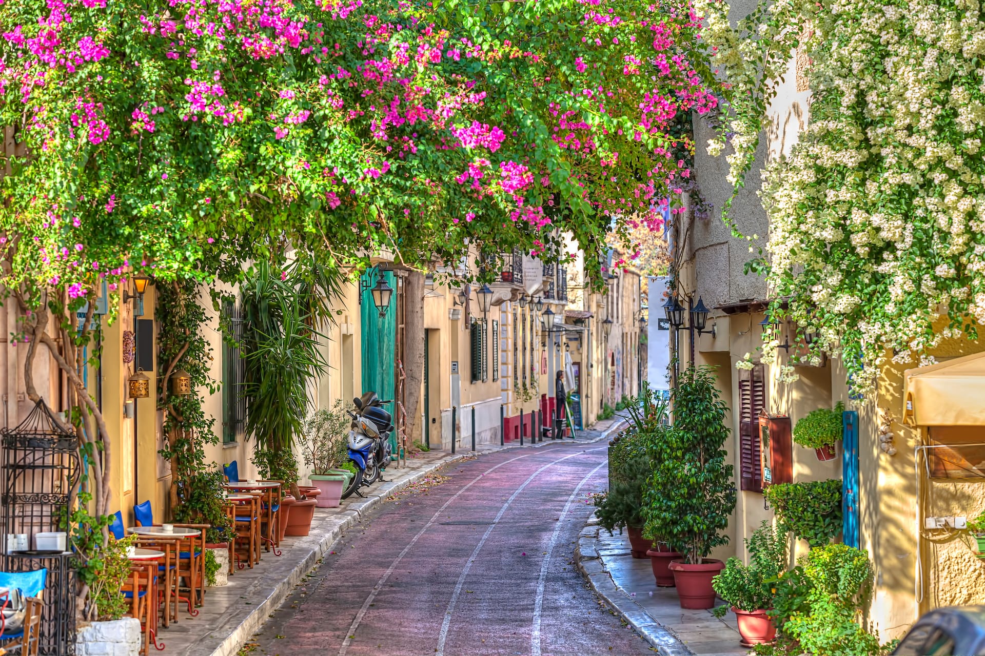 Narrow street in Greece with pink and white flowering vines over cafe tables.