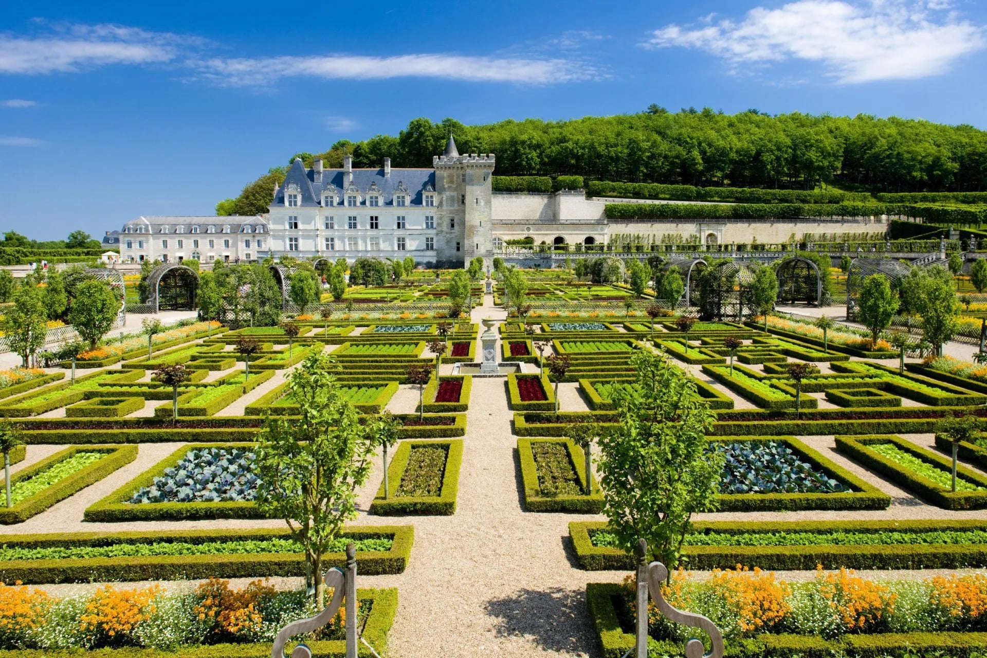 Formal gardens with geometric hedges leading up to the white chateau at Villandry under a blue sky.