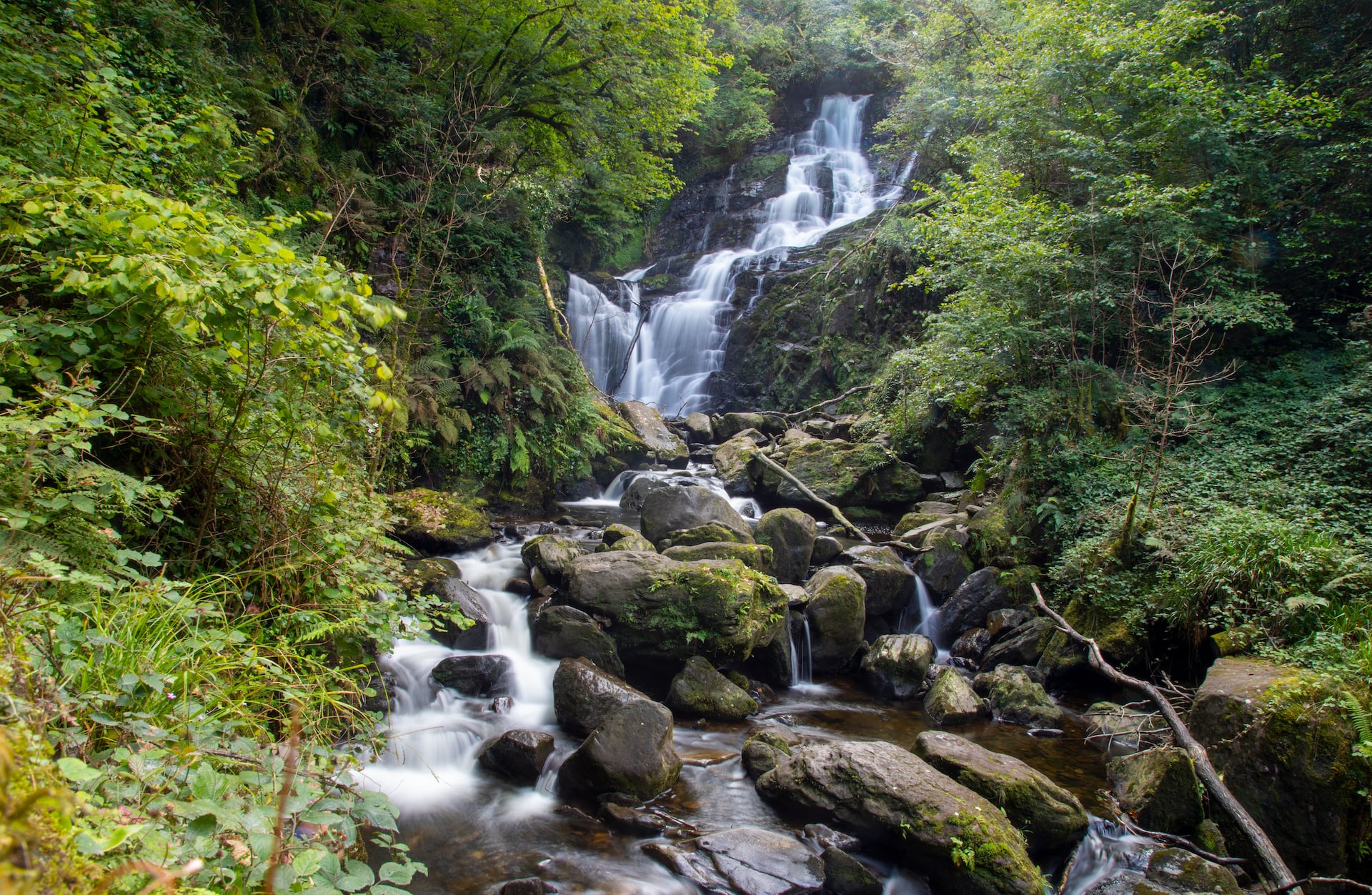 Torc Waterfall in woodland in Killarney National Park