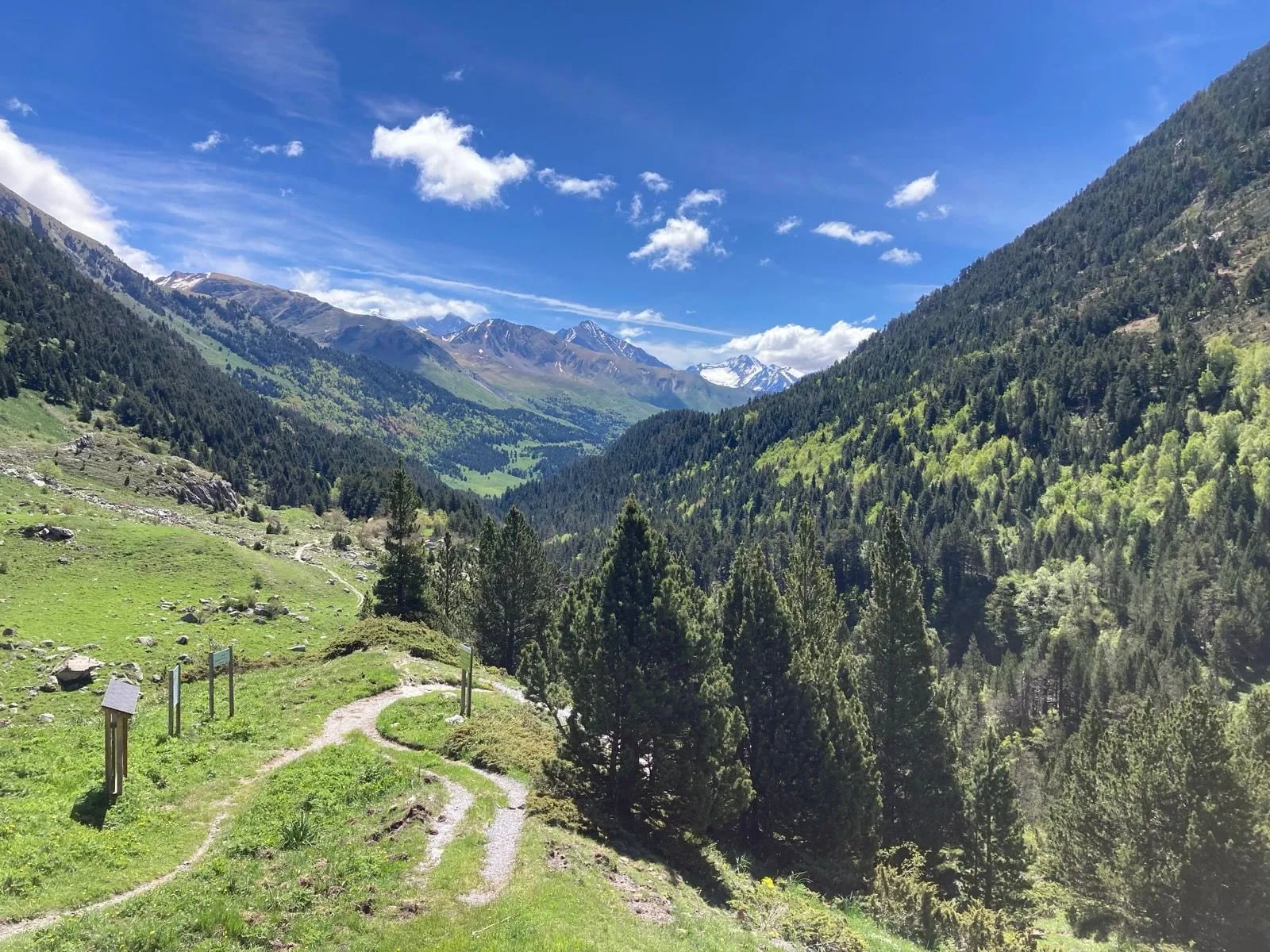 A path running up a green Pyrenean valley towards snow streaked peaks at its head