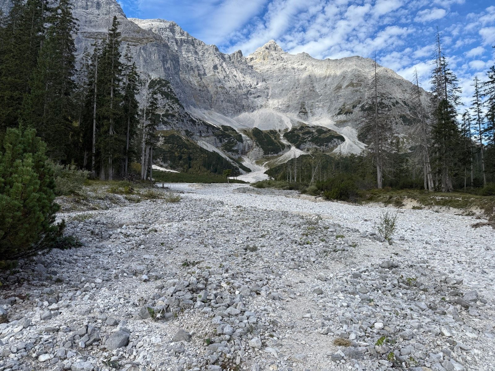 Rocky riverbed leading toward steep, gray alpine mountains with scattered pine trees.