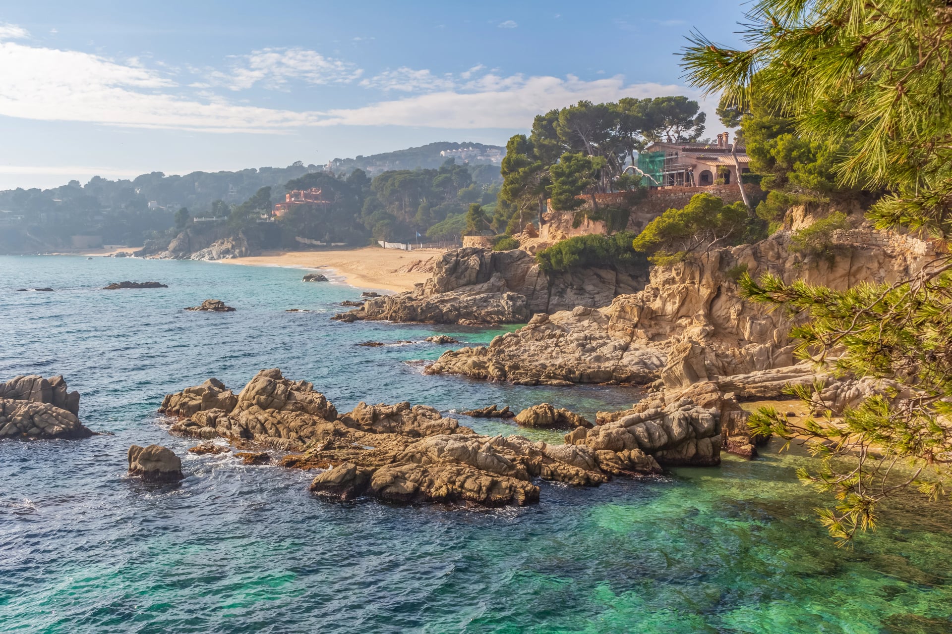 Rocky turquoise coastline with villas set back among pines above the water