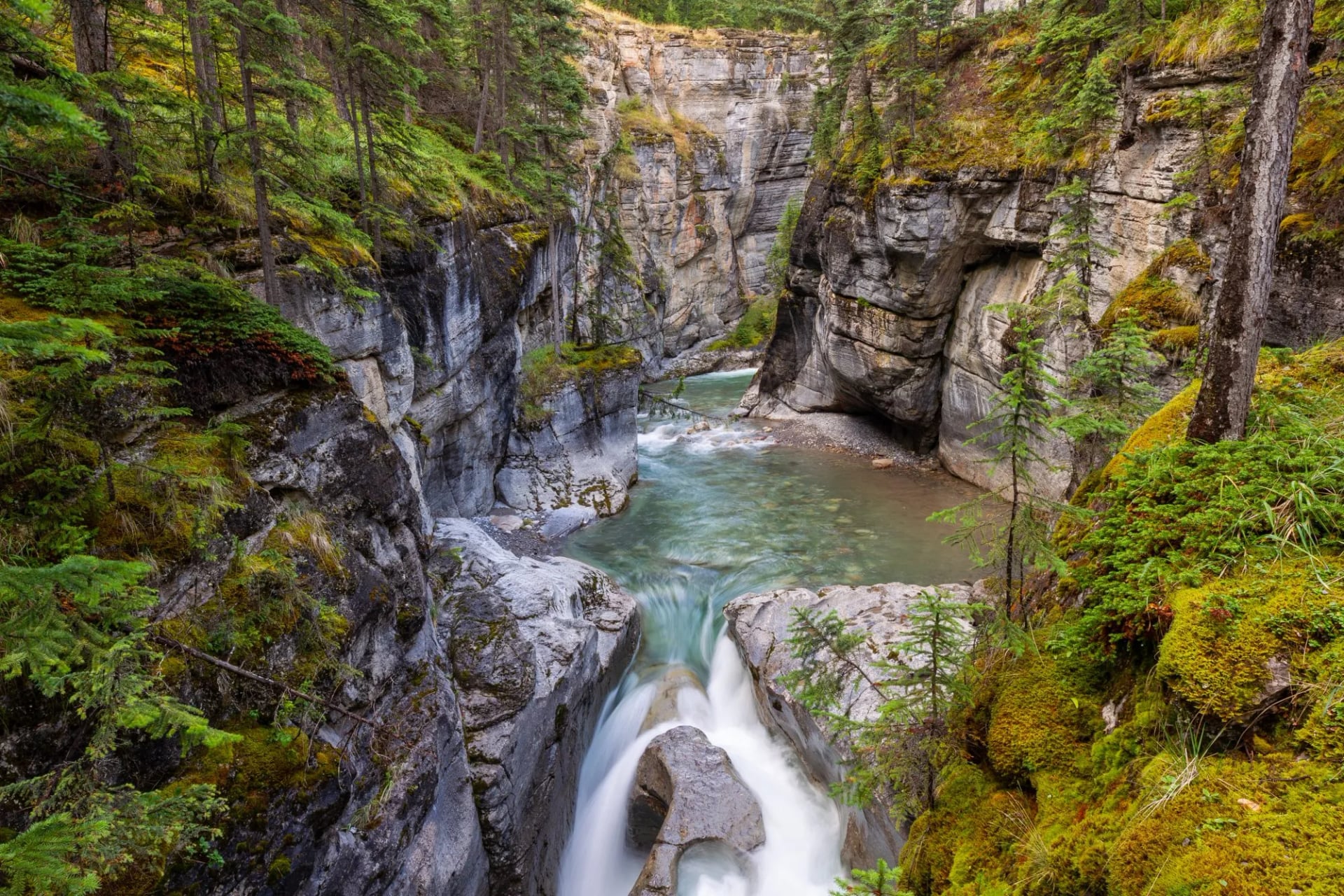 A waterfall dropping into the narrow mossy limestone walls of Maligne Canyon