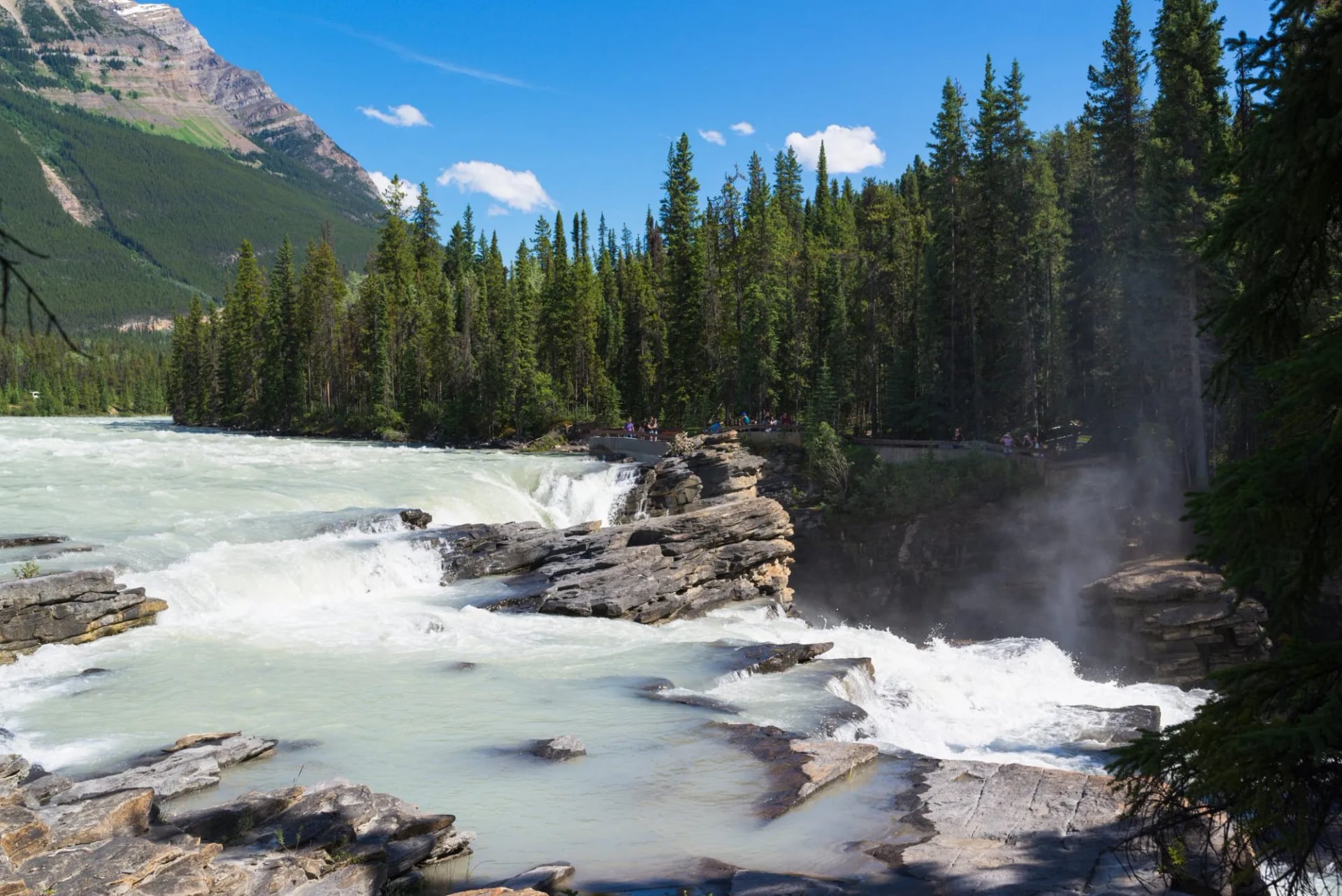 The Athabasca river running fast and white through forest and rock
