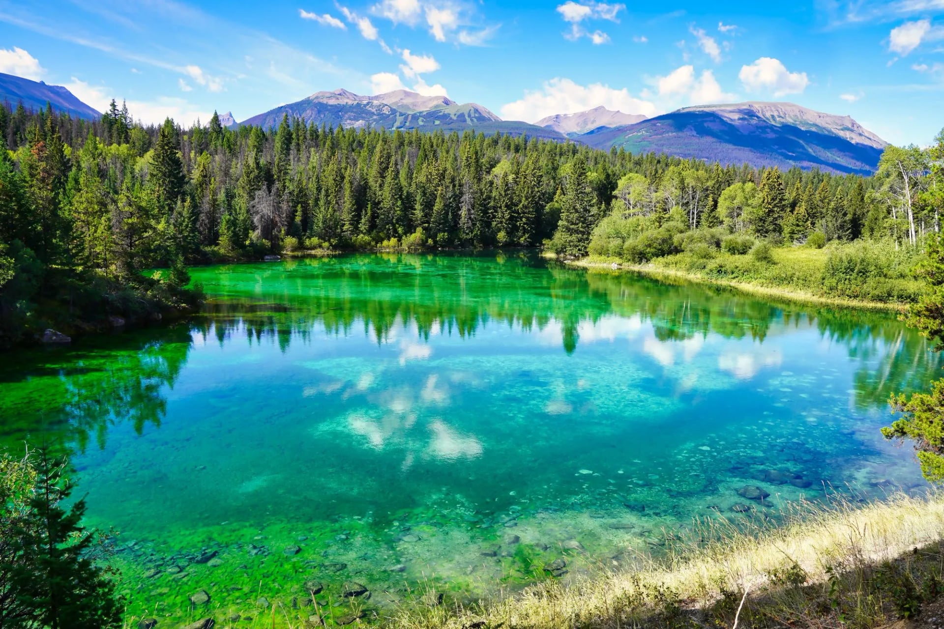 One of the five lakes showing deep emerald water with forest and a distant ridge
