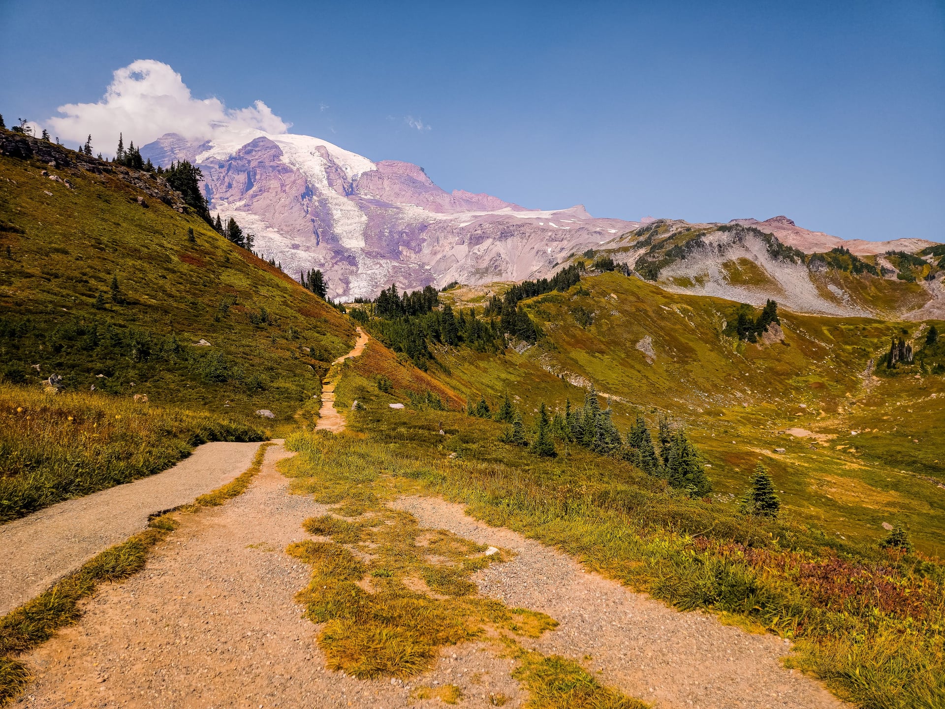 A trail running through wildflower meadows below the snows of Mount Rainier