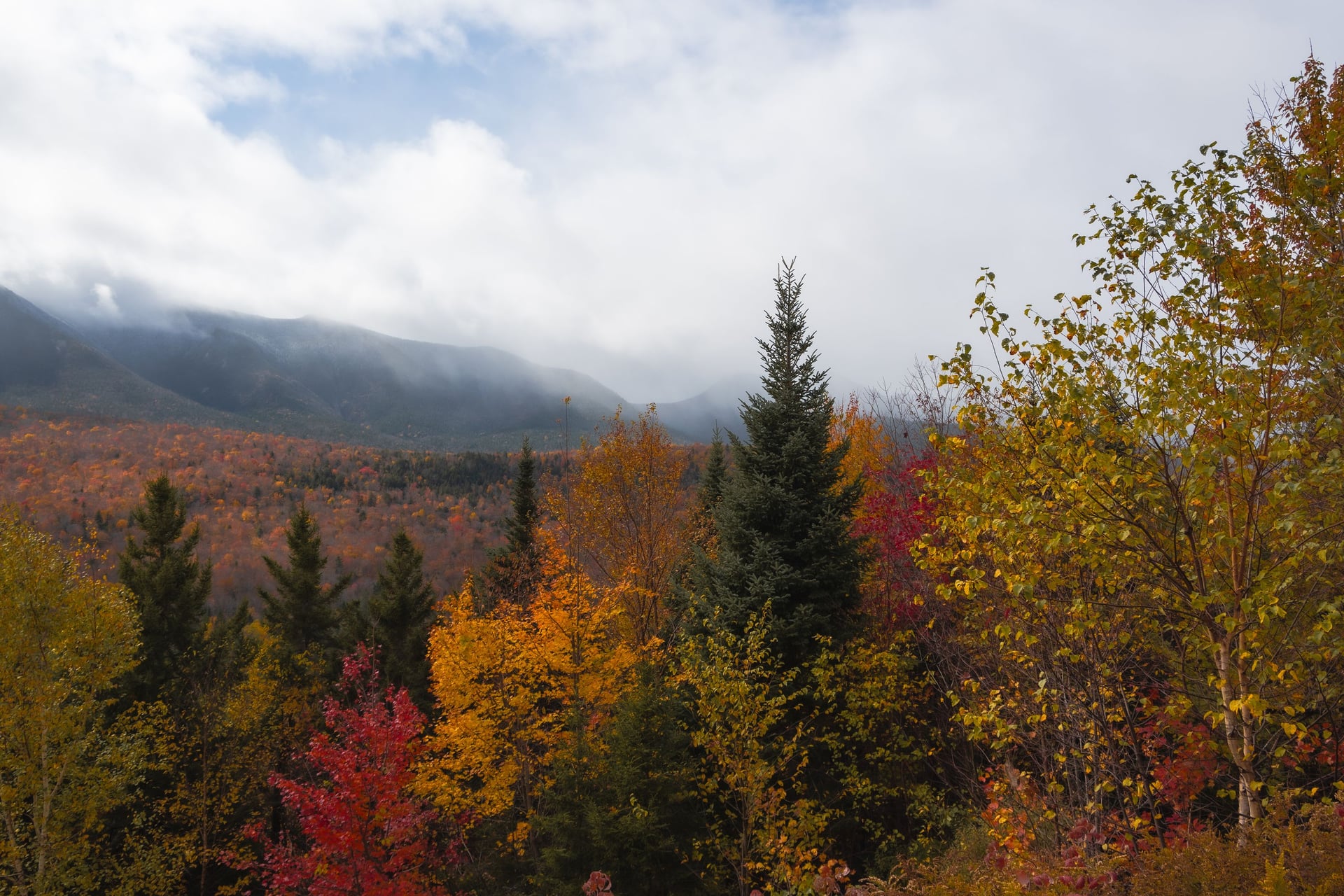Low cloud over autumn forest in the White Mountain National Forest