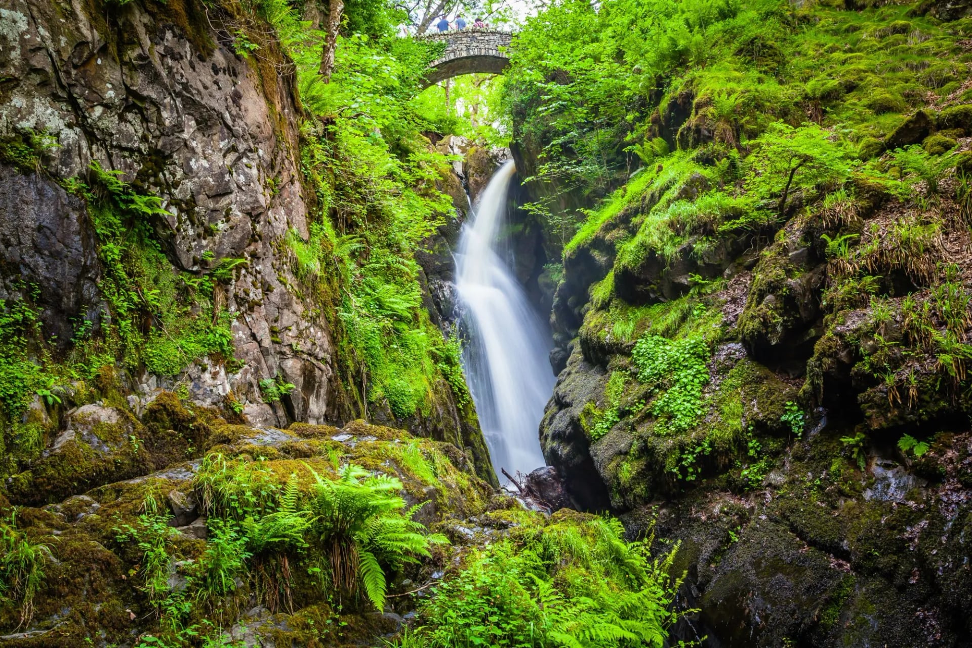 A waterfall dropping through a mossy gorge beneath a stone footbridge