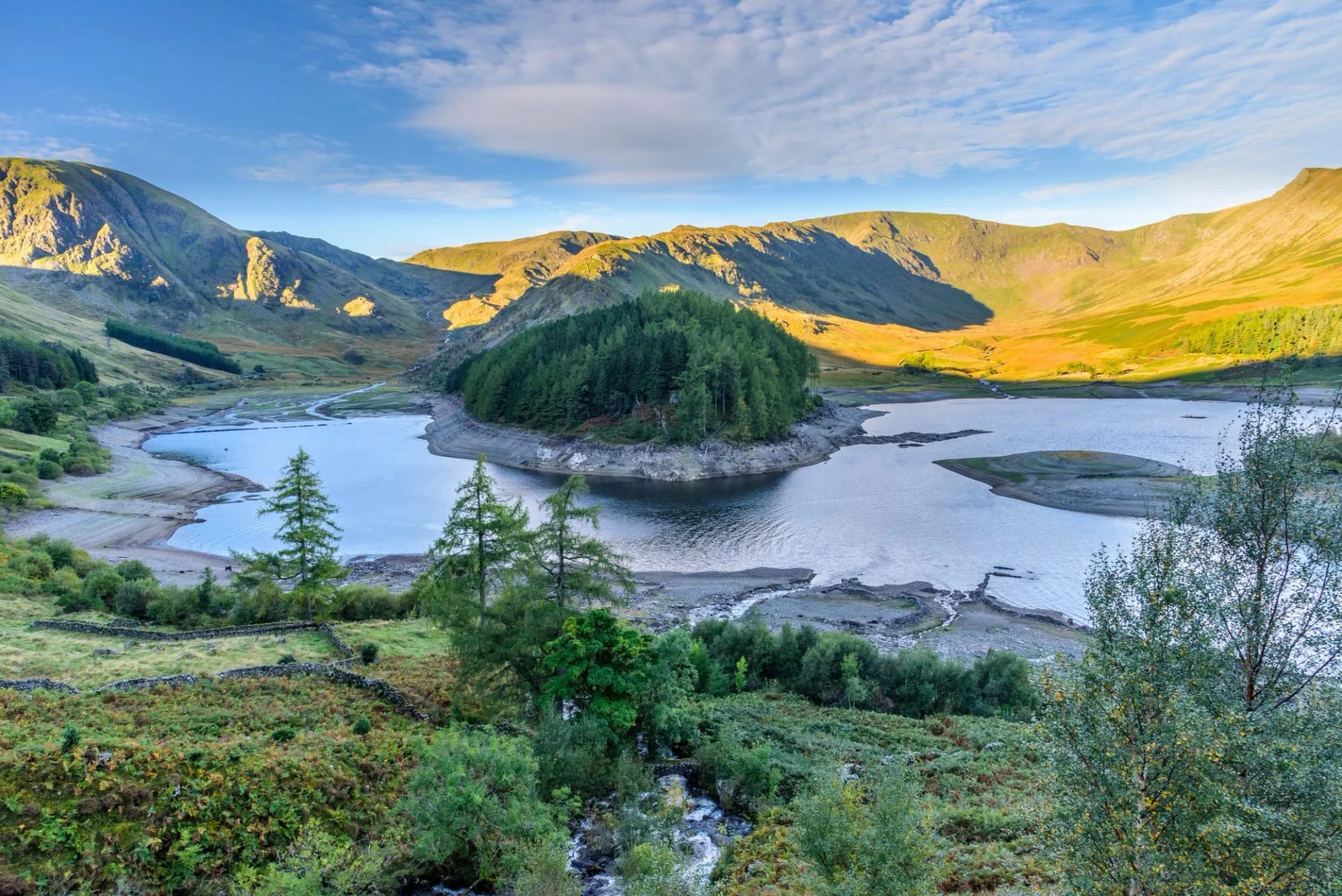 A wooded promontory in Haweswater with sunlit fells rising behind