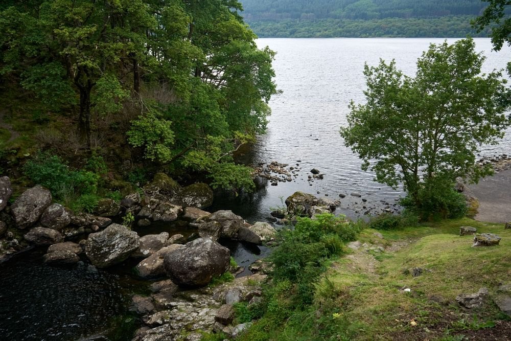 Klipper og træer på den skovklædte kyst af Loch Lomond
