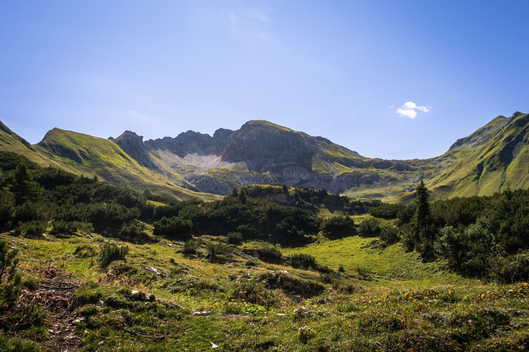 A path climbing through green alpine terrain in the Allgäu