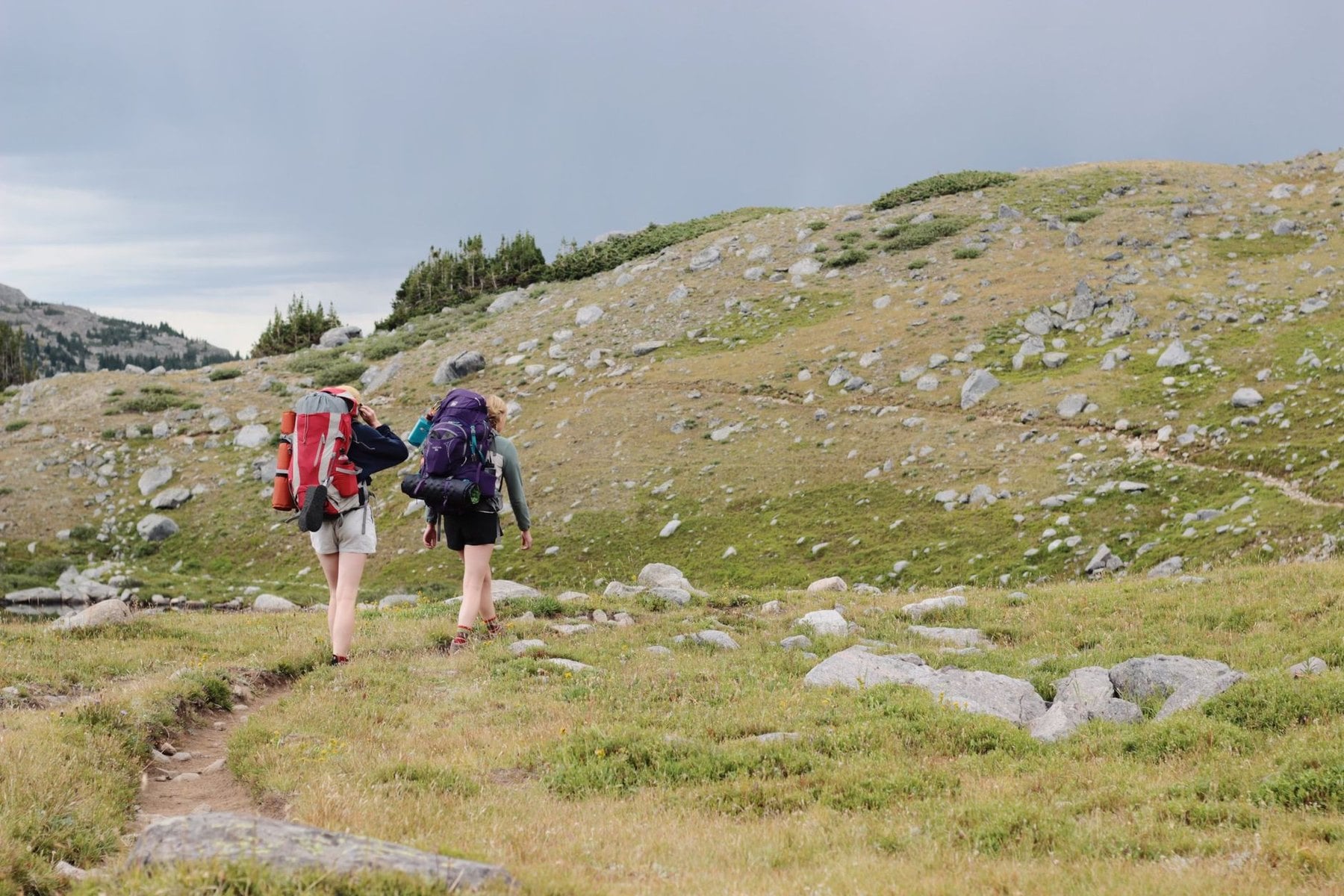 Two walkers with rucksacks on an open mountain path