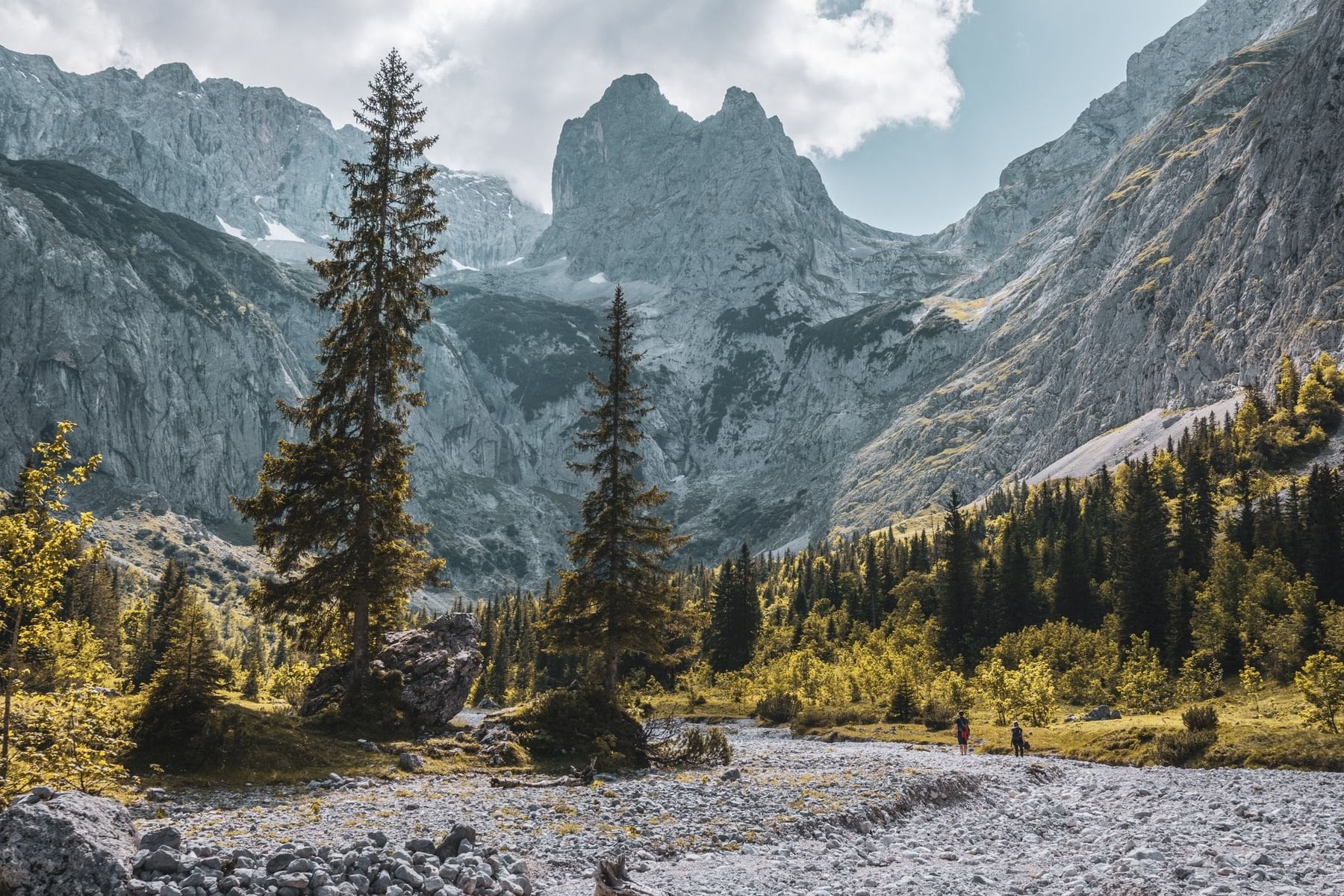 The Wetterstein mountains rising above forest in summer
