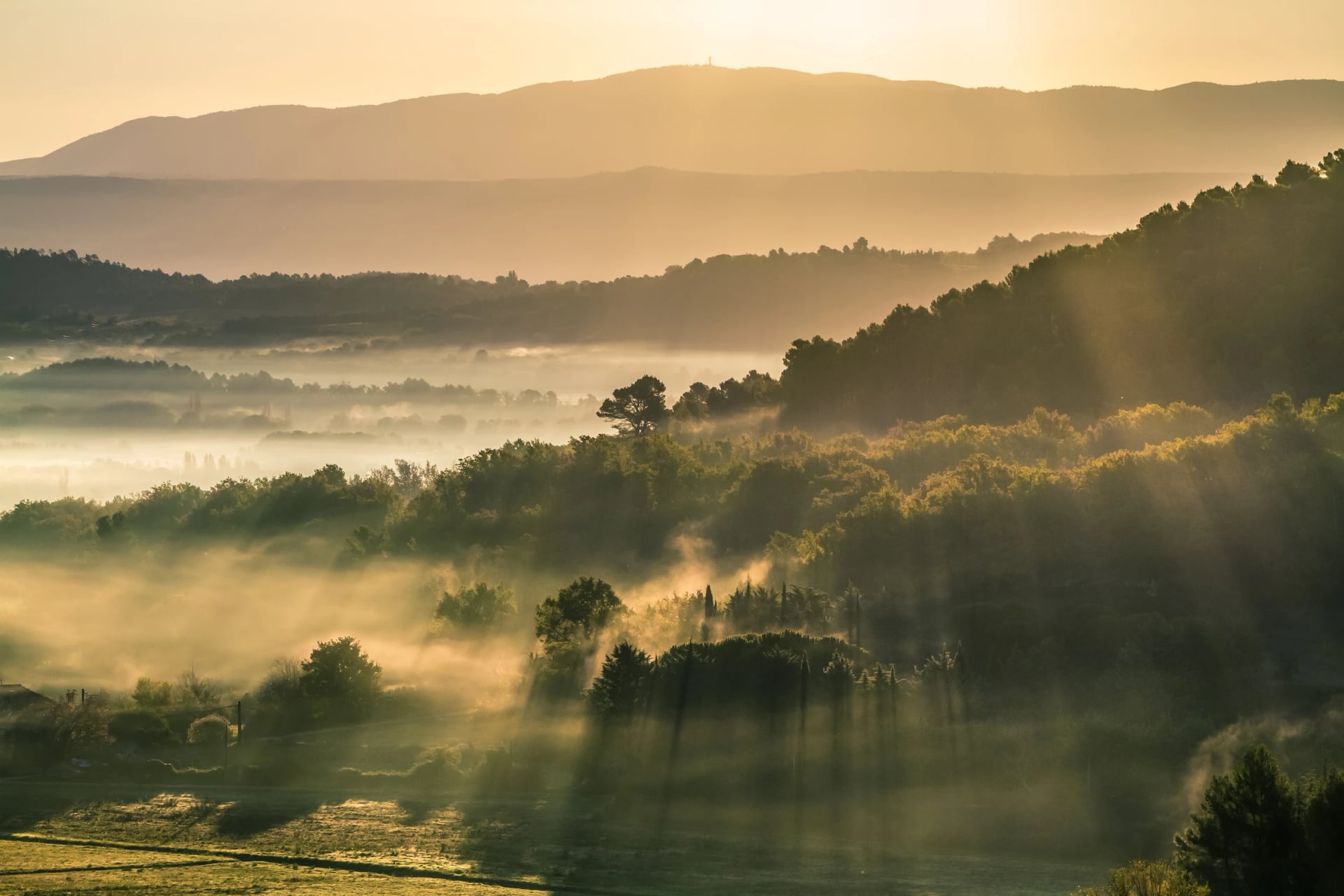 Morning mist over the wooded ridges of the Luberon in Provence