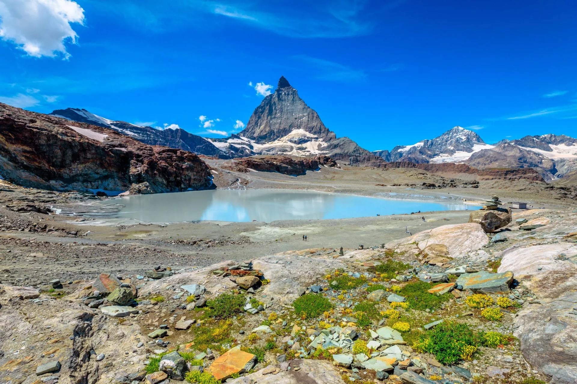 Een ondoorzichtige turquoise smeltwaterpoel op stenige grond met alpine bloemen eromheen