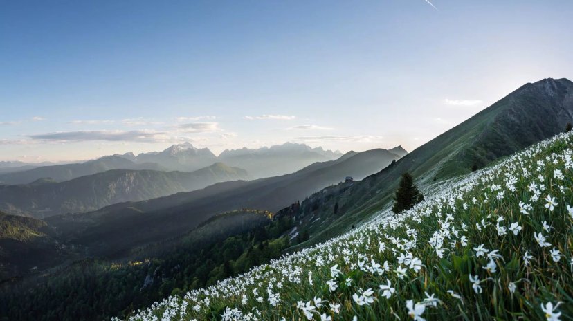 Slovenian Mountain Trail Highlights Hike