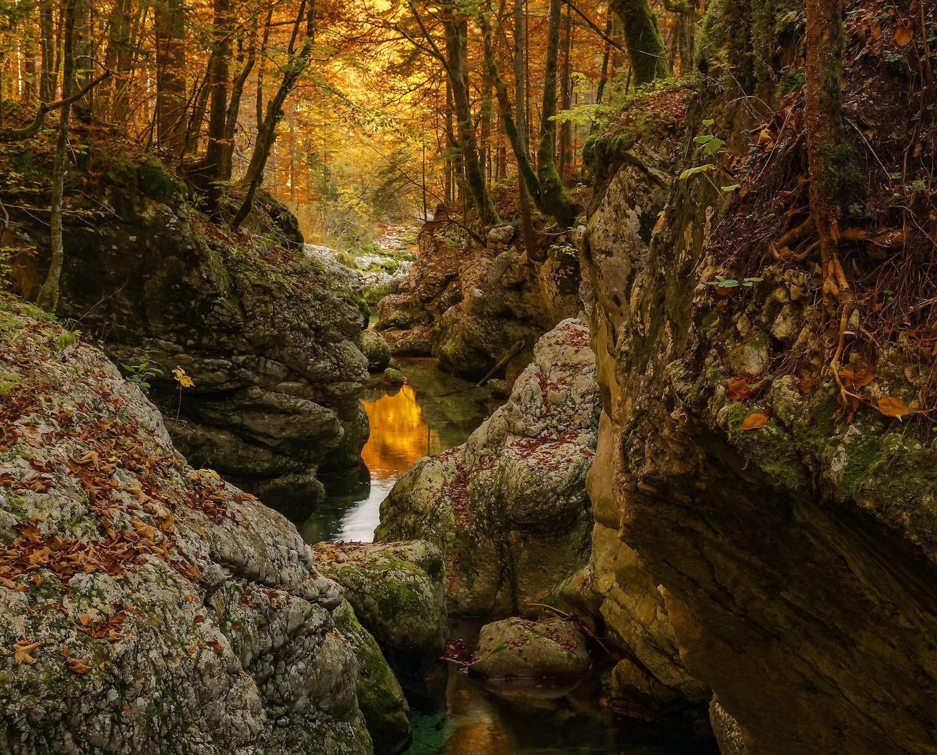 Stream flowing through Mostnica Gorge with mossy rocks and bright autumn foliage overhead.
