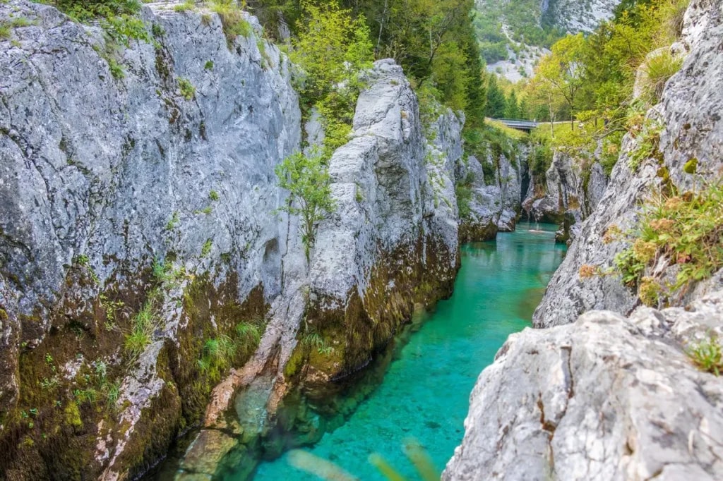 Turquoise river flowing through the steep rock walls of the Great Soča Gorge.