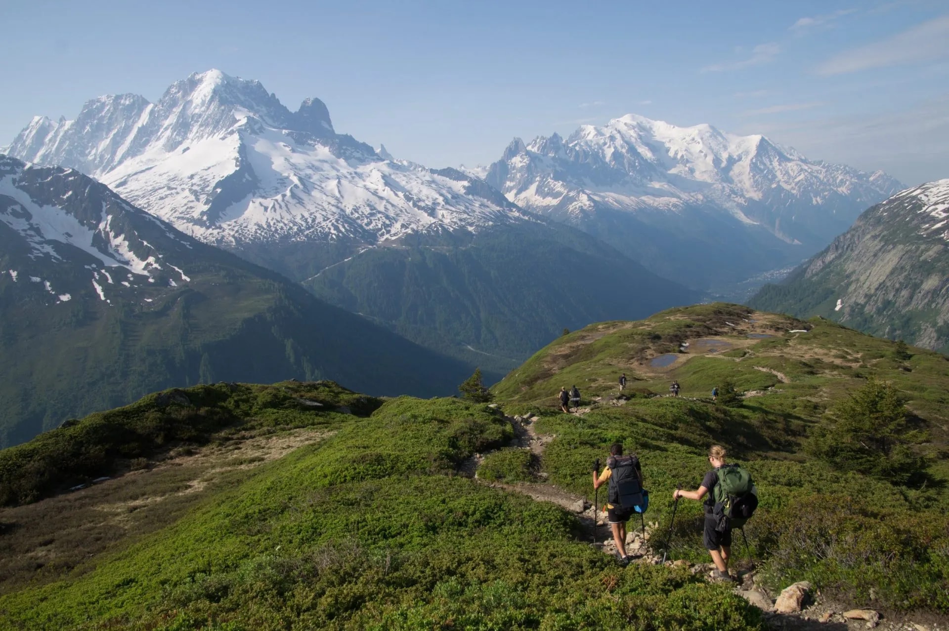 Hikers with backpacks trekking on a grassy mountain ridge with snow-capped peaks in the background.