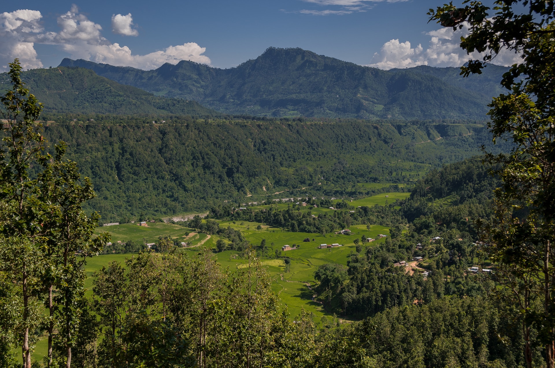 Lush green valley with rice paddies and scattered homes nestled below forested mountains in Machhakhola village.