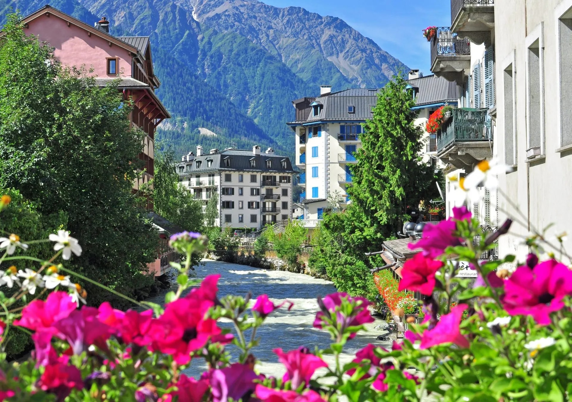Alpine village with river, buildings, and mountains, framed by bright pink flowers.